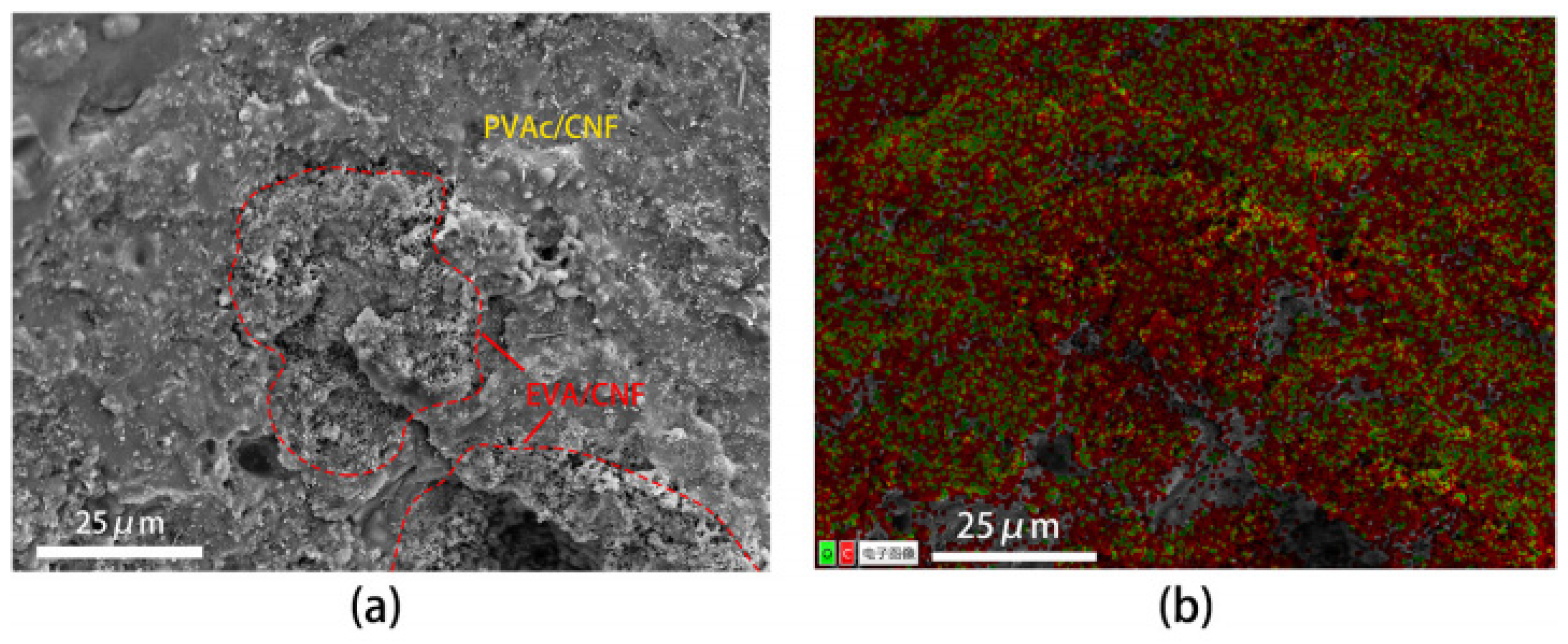 Polymers 16 02028 g001