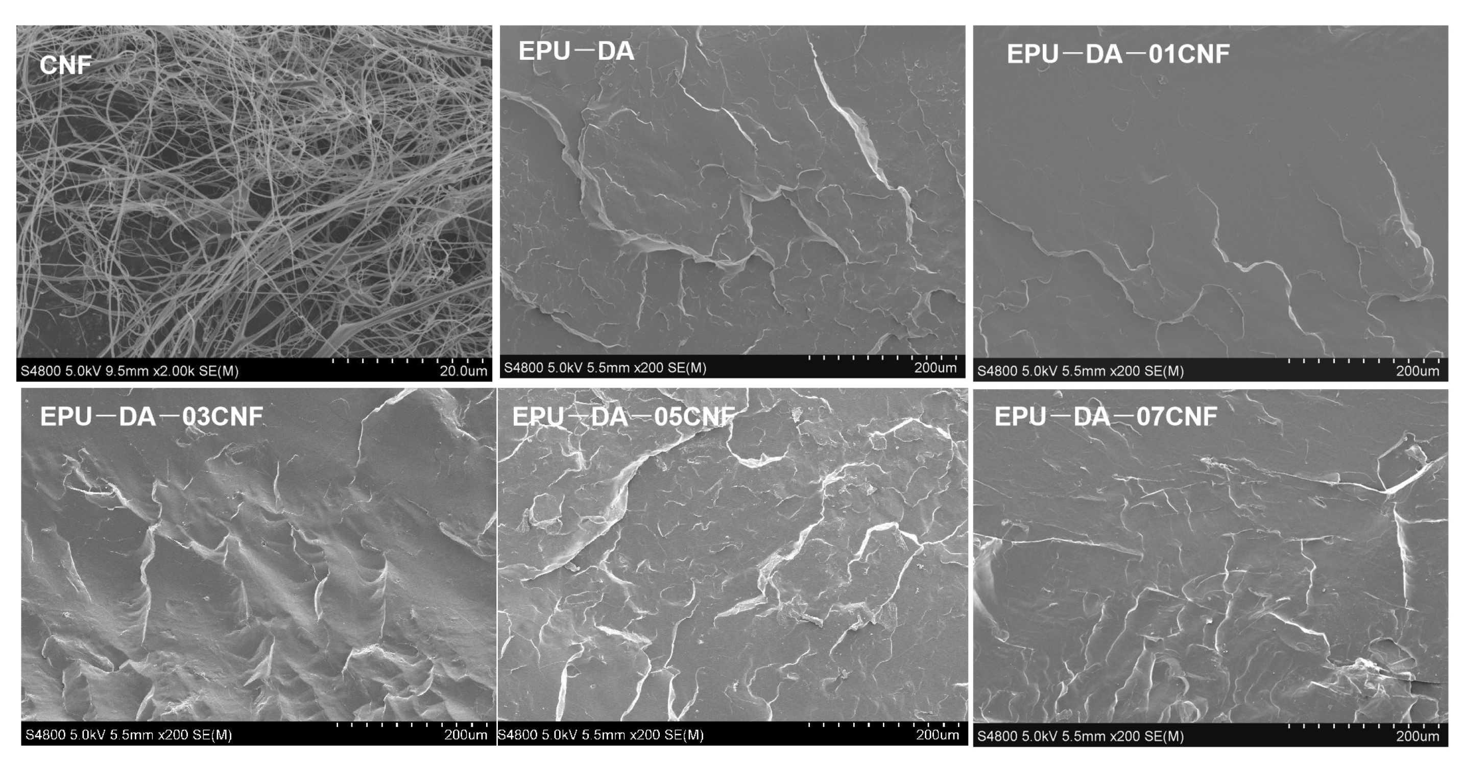 Polymers 16 02029 g004
