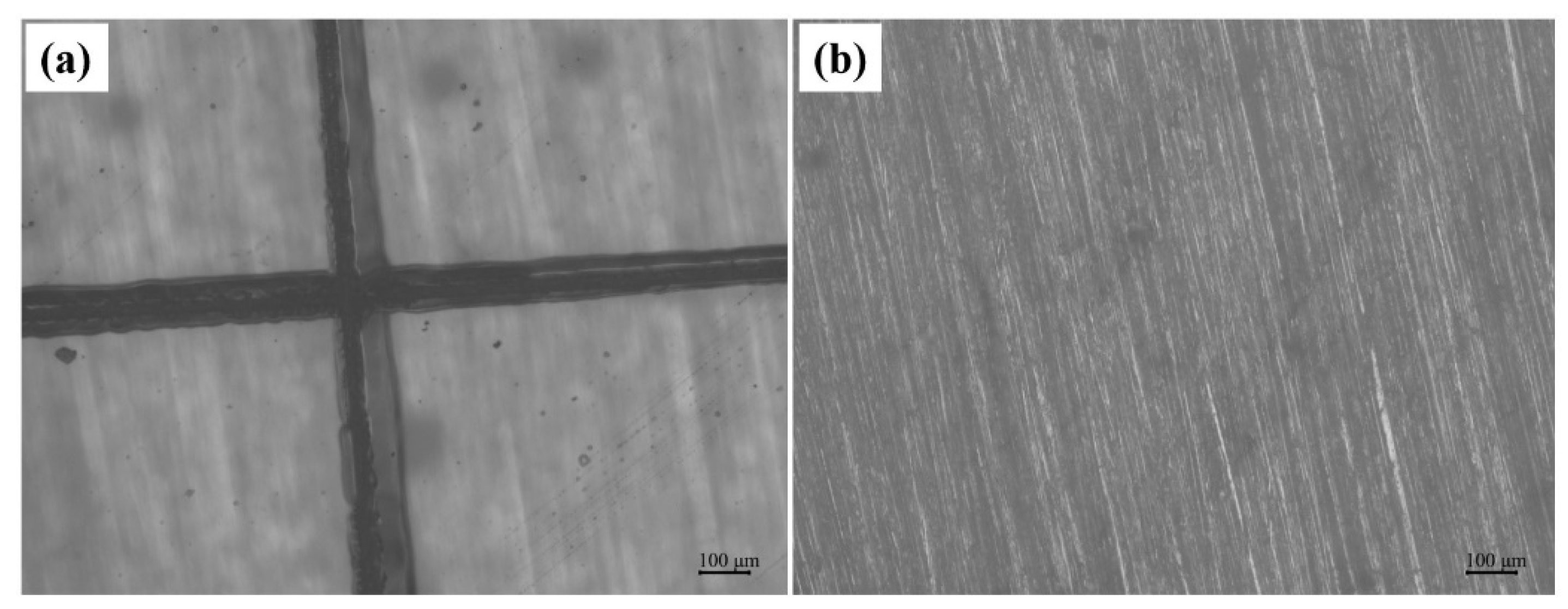 Polymers 16 02029 g006