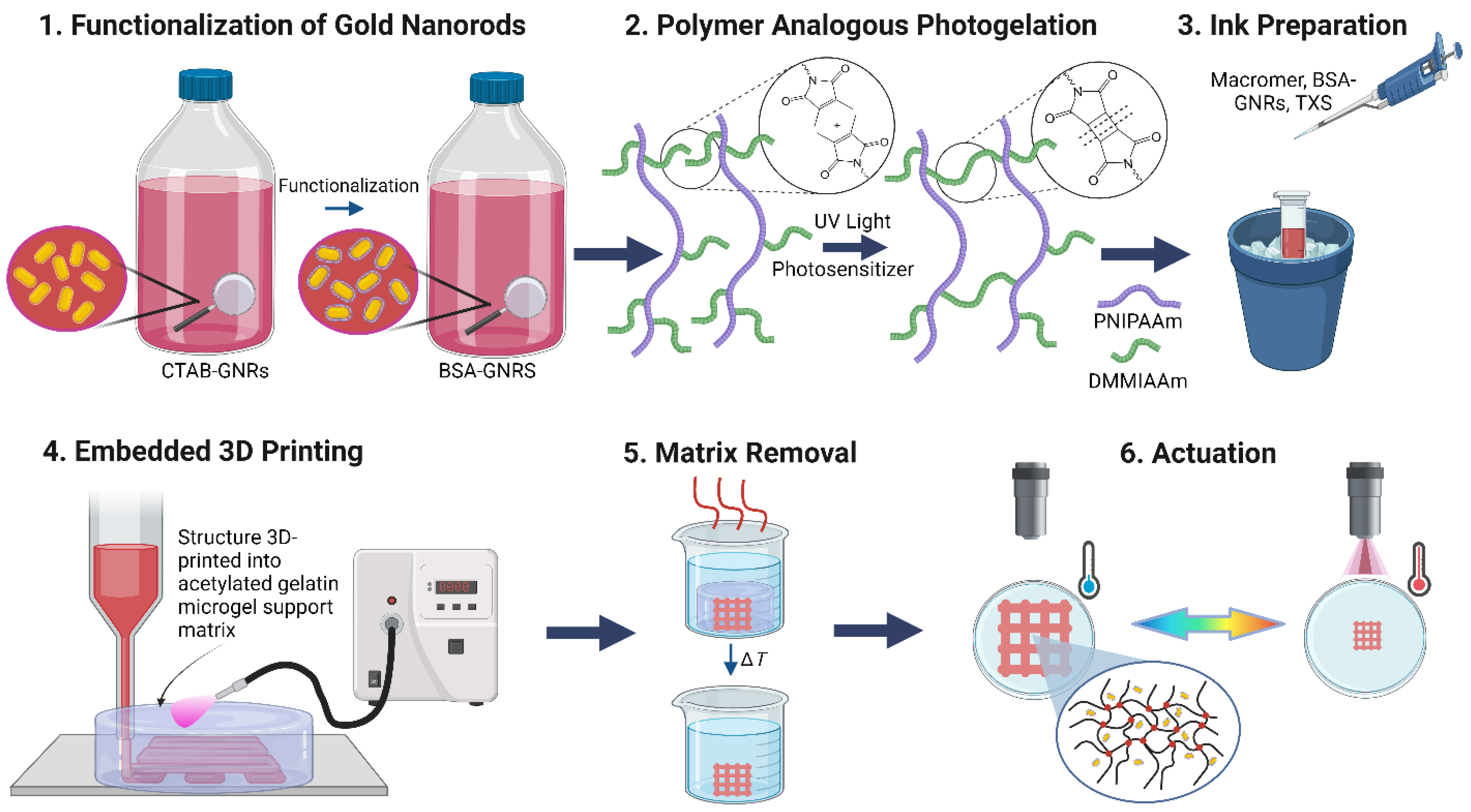 Polymers 16 02032 g001
