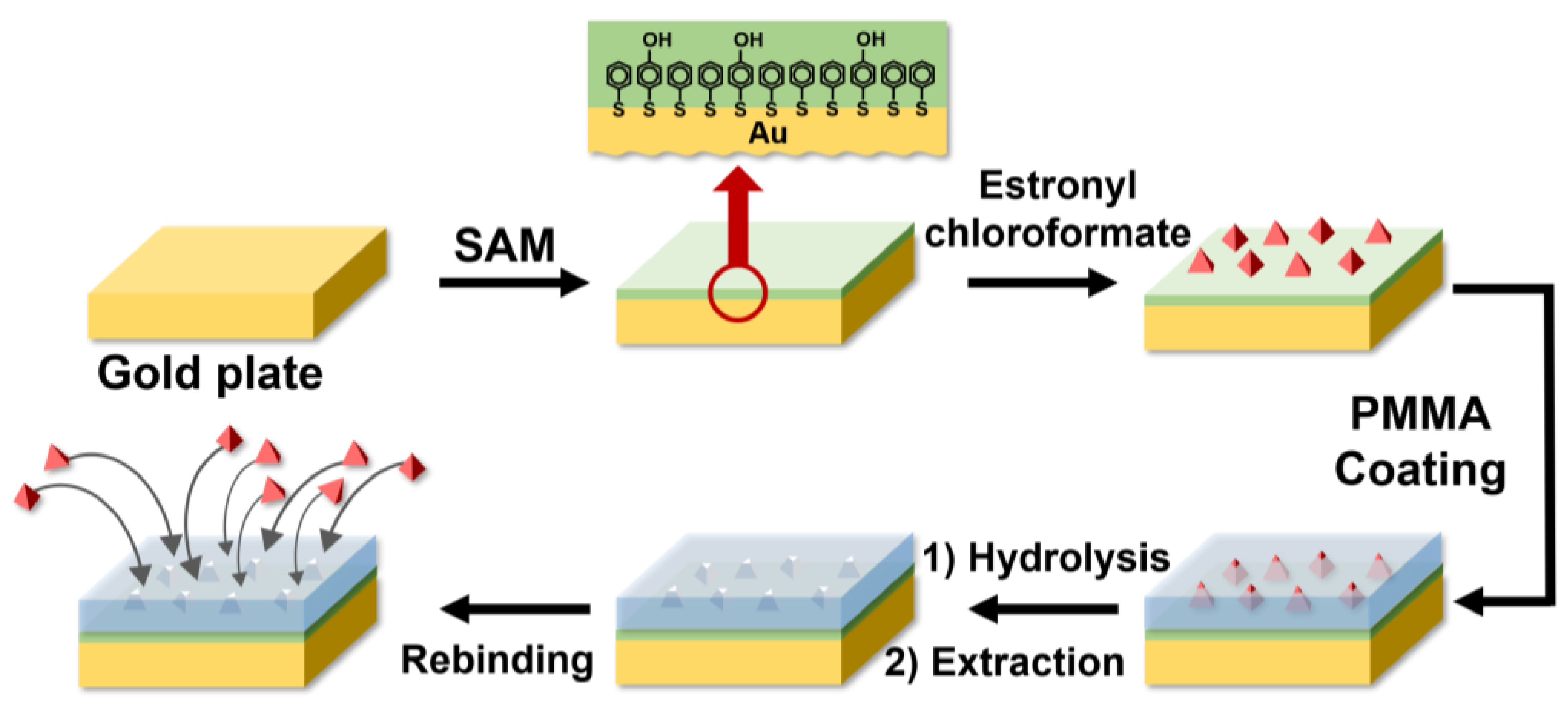 Polymers 16 02035 g001