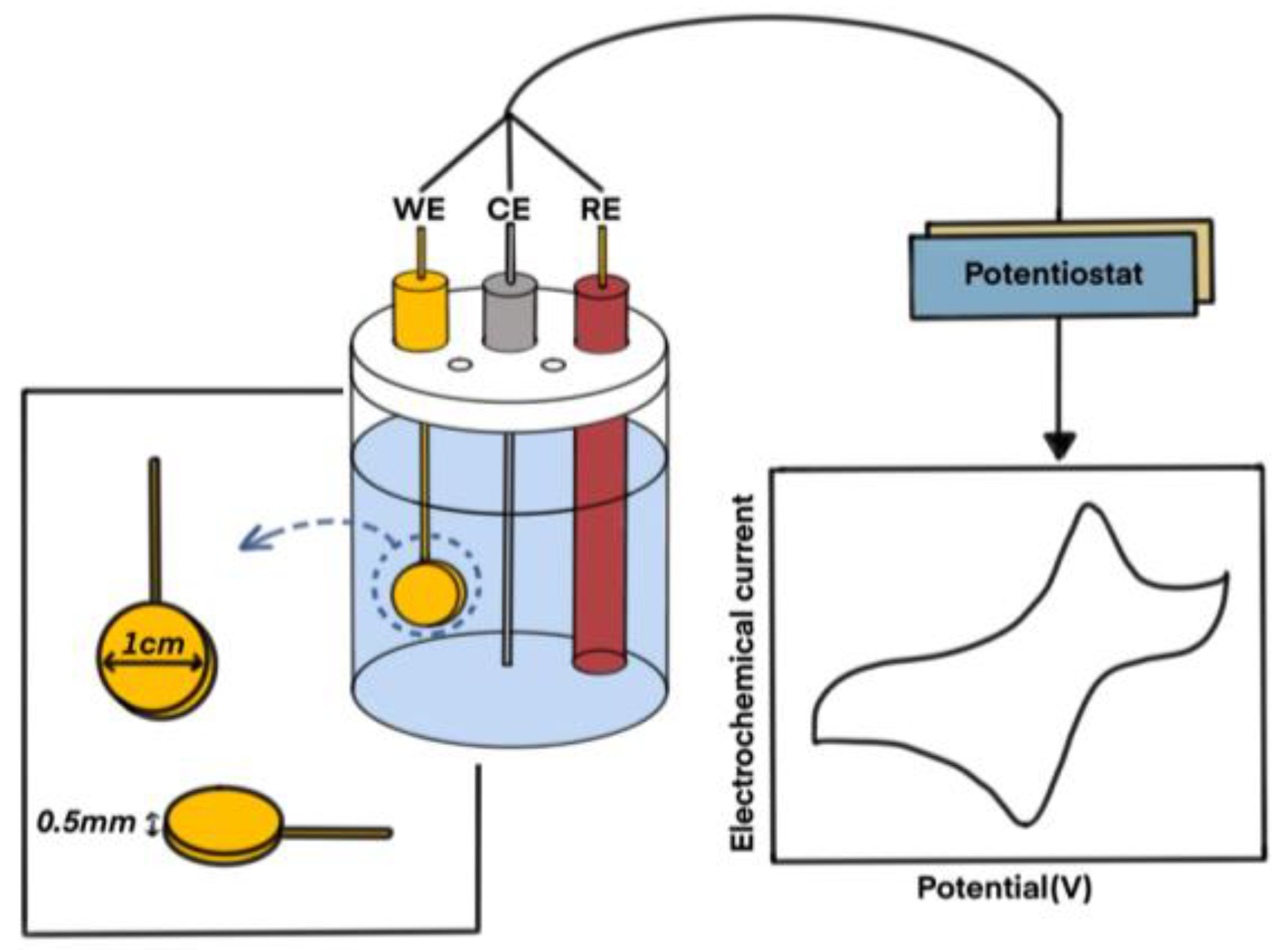 Polymers 16 02035 g003