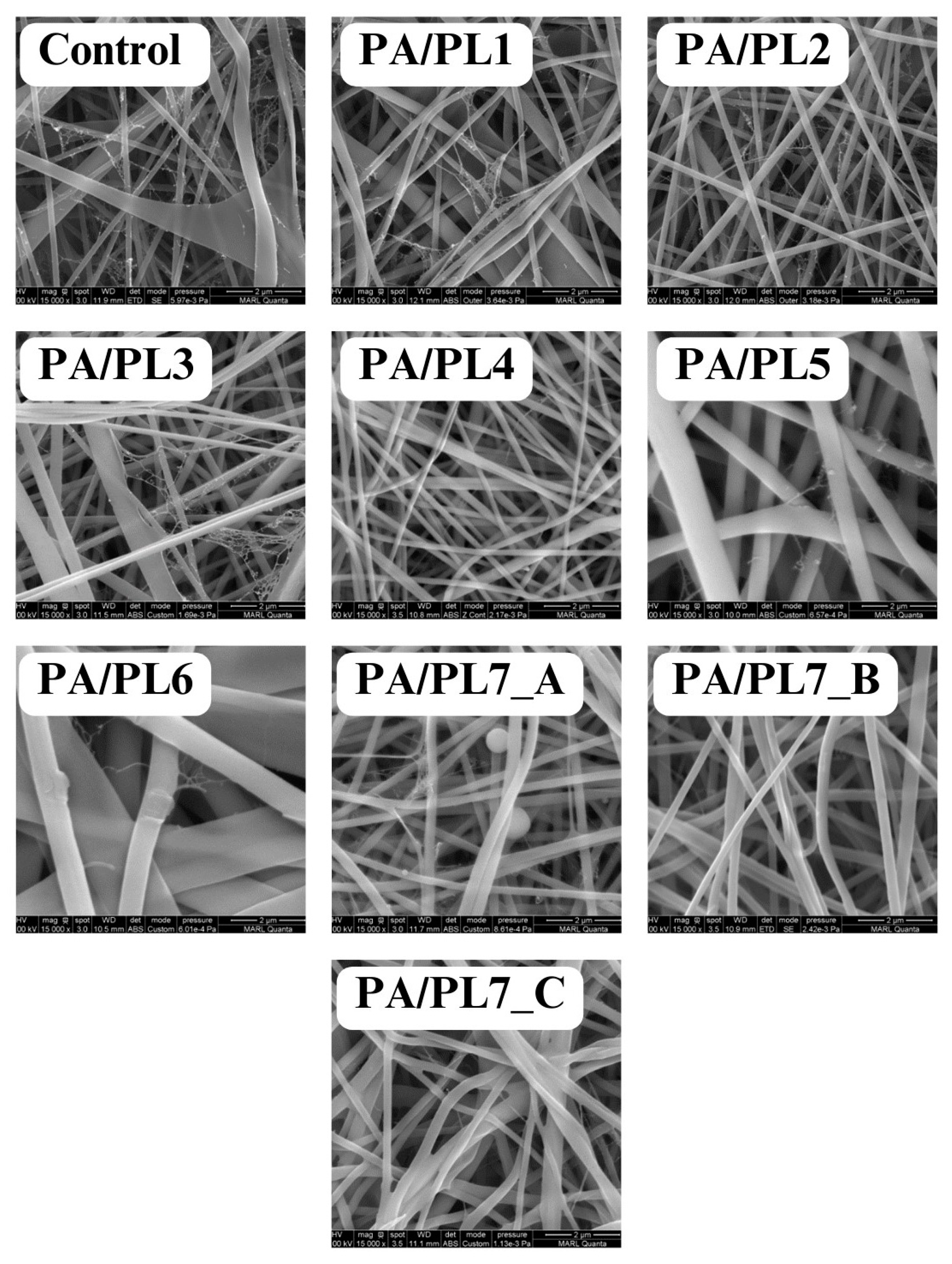 Polymers 16 02046 g001