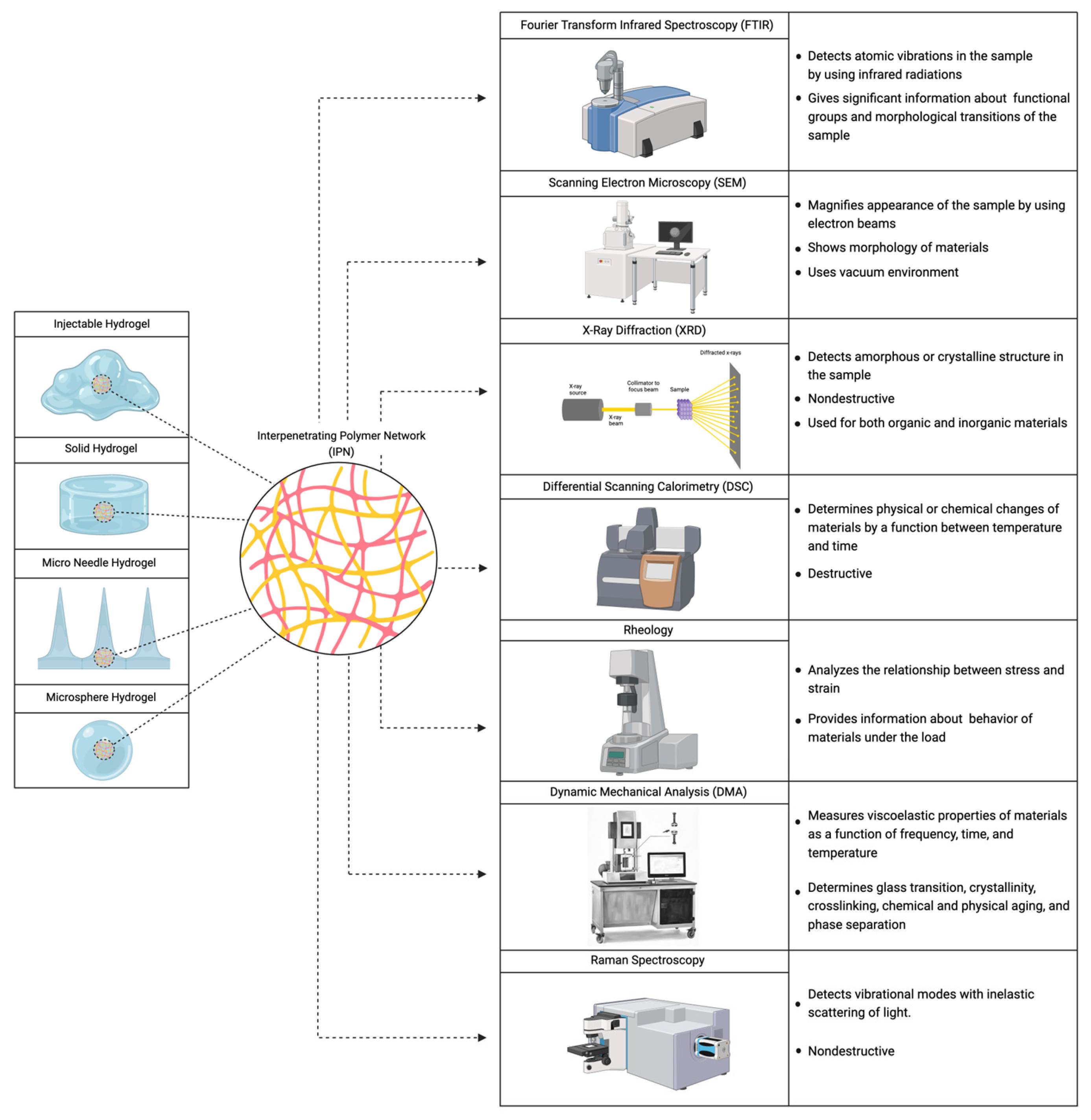 Polymers 16 02050 g004