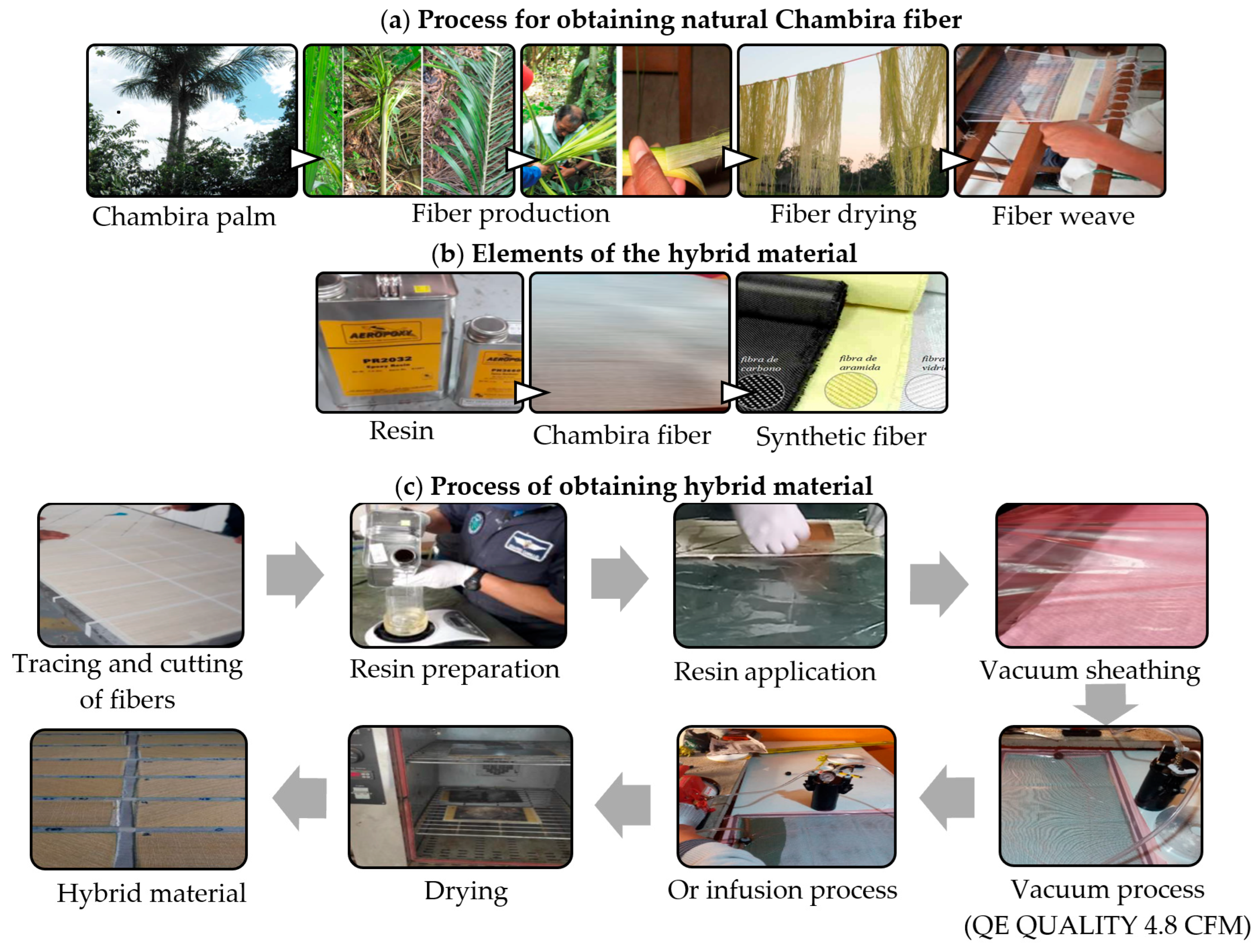 Polymers 16 02051 g001