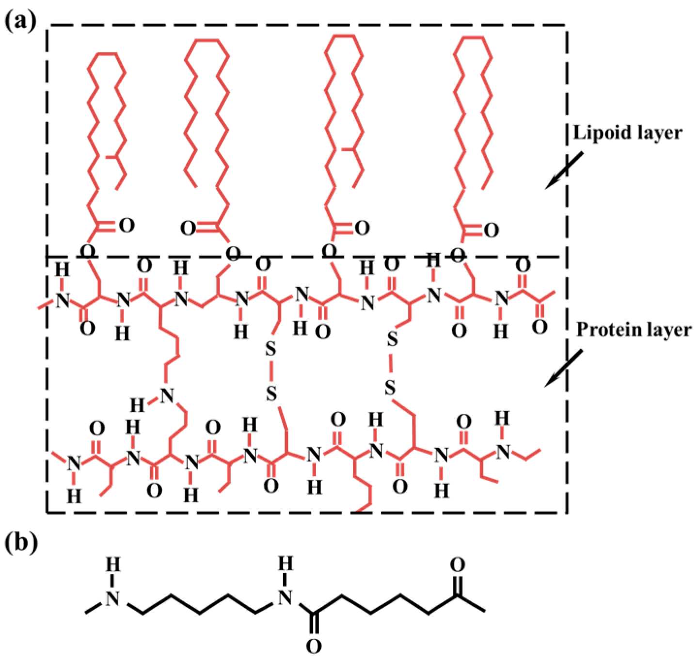 Polymers 16 02052 g001