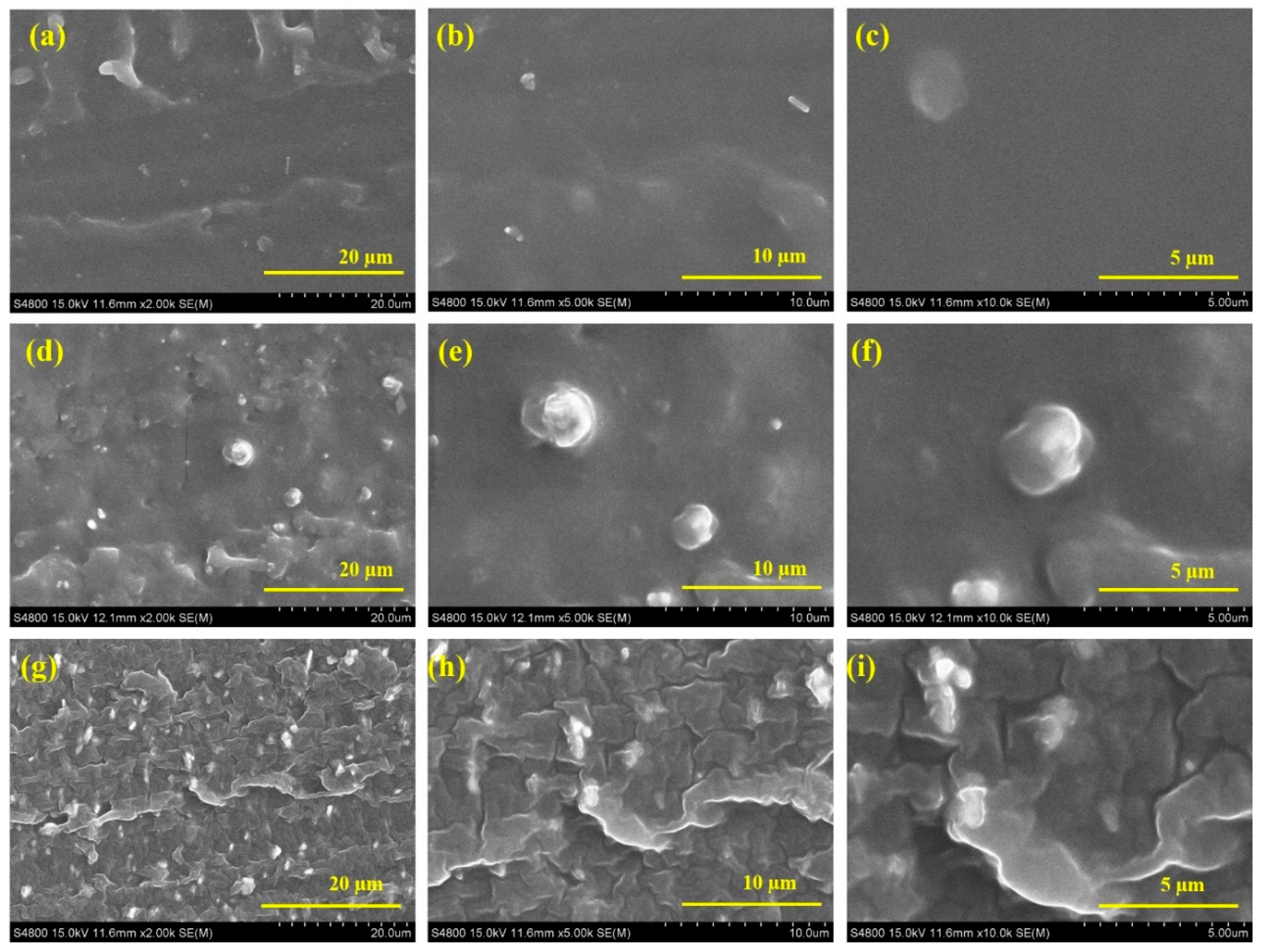 Polymers 16 02058 g006