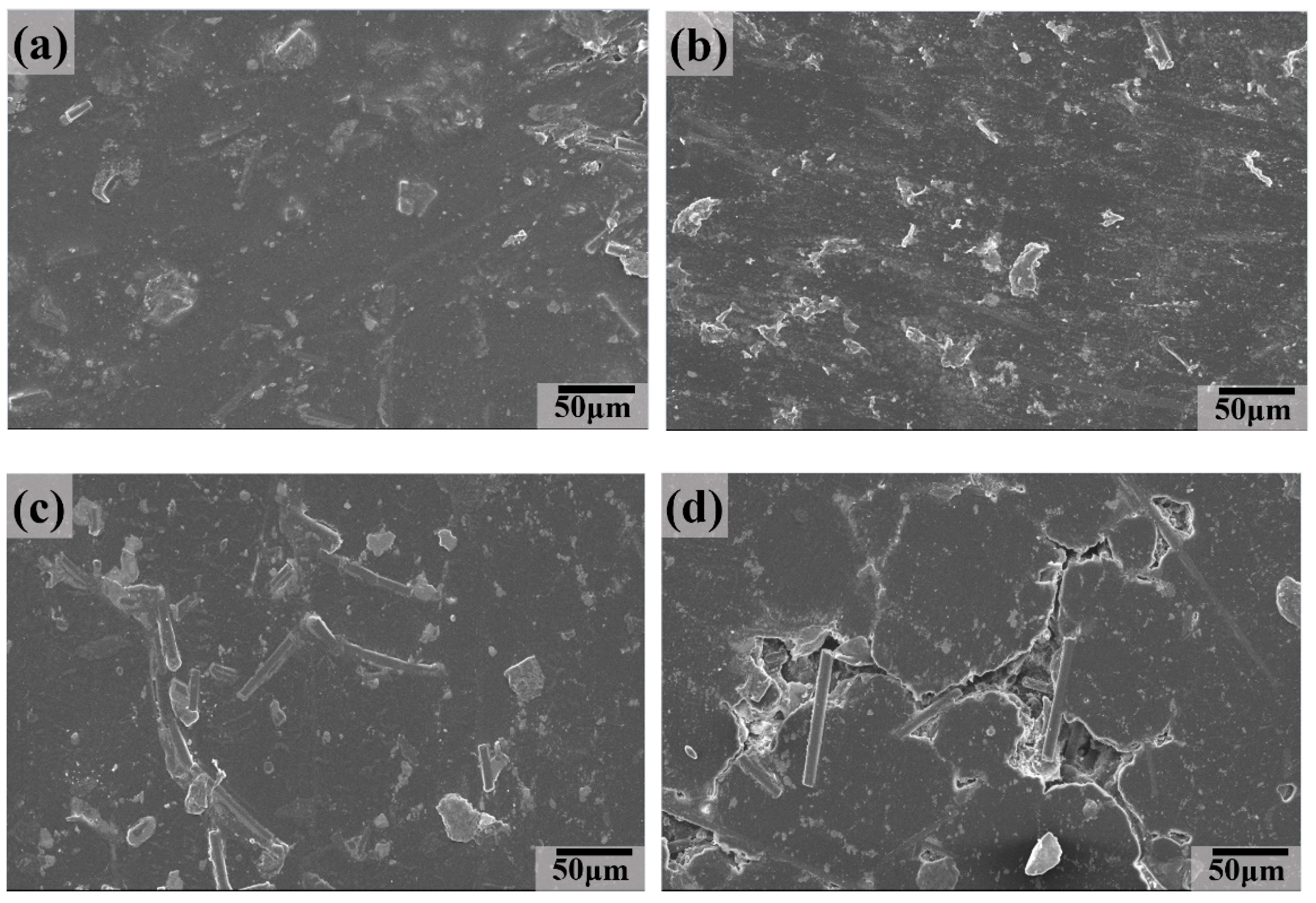 Polymers 16 02059 g010