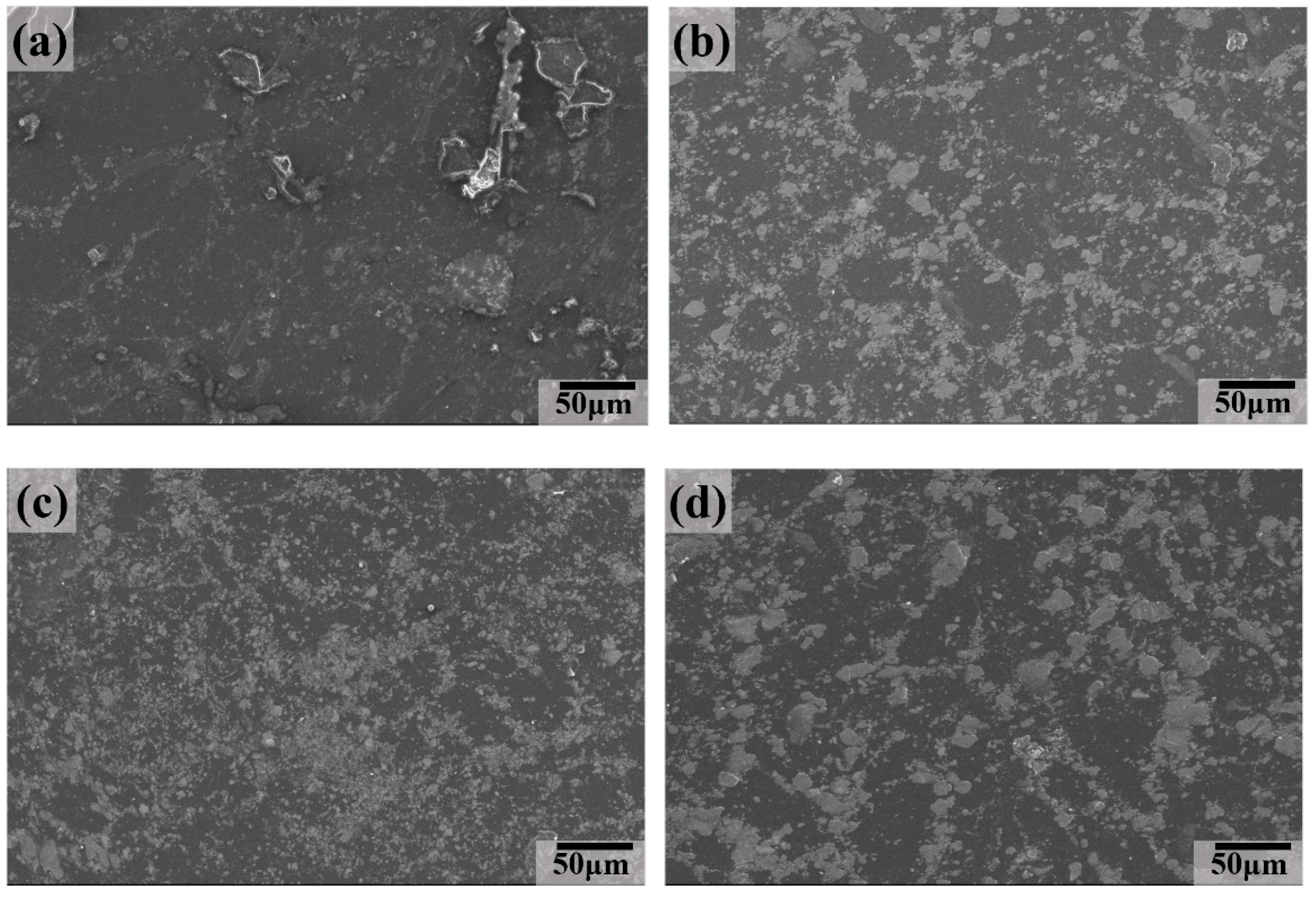 Polymers 16 02059 g012