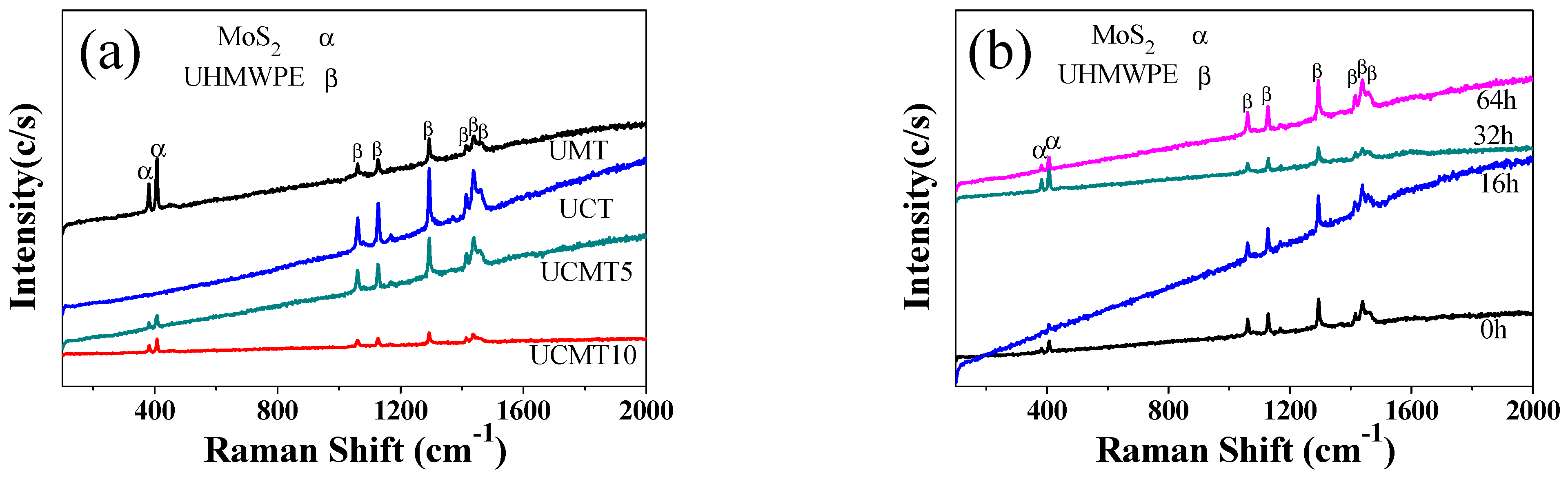Polymers 16 02059 g013
