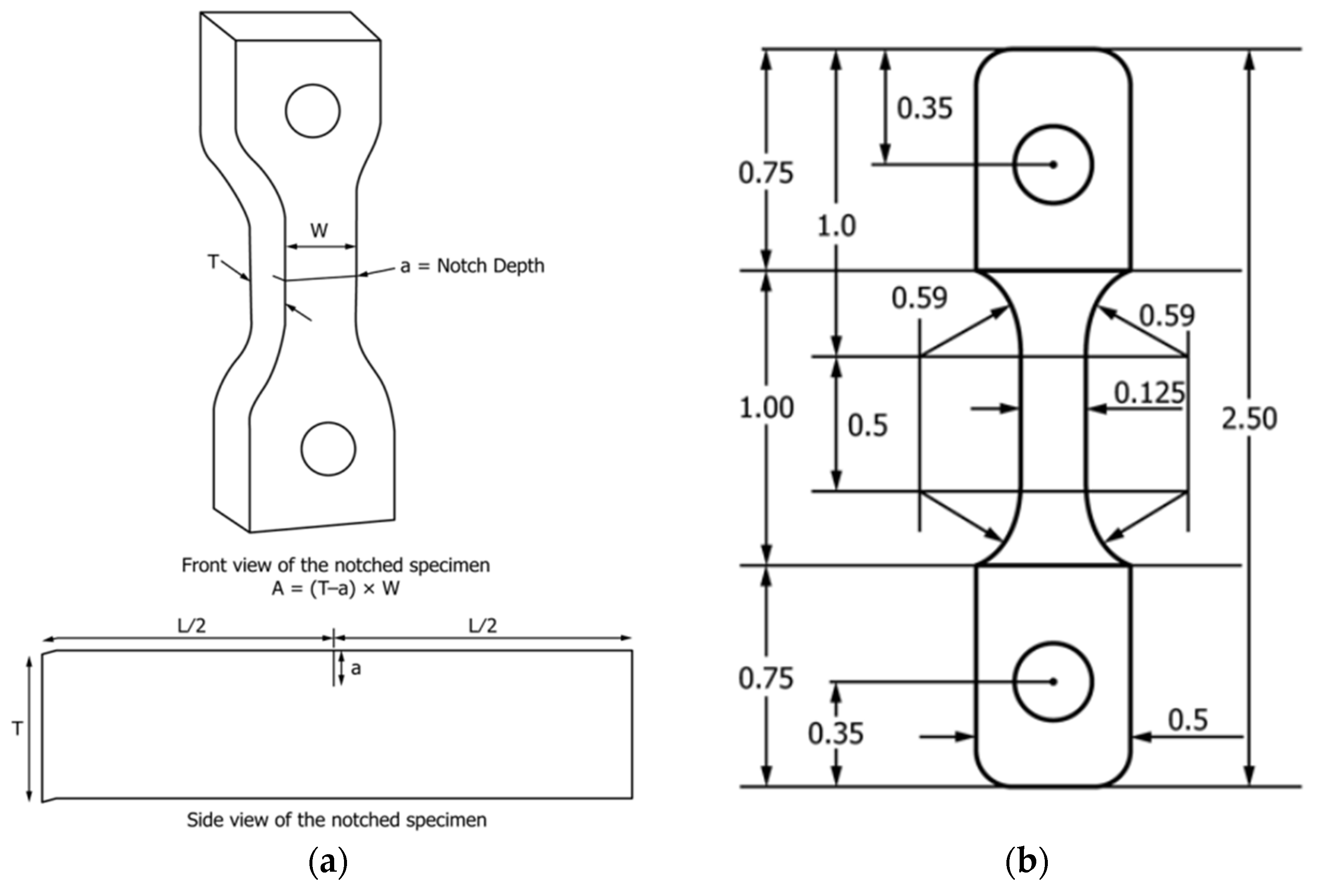 Polymers 16 02060 g001