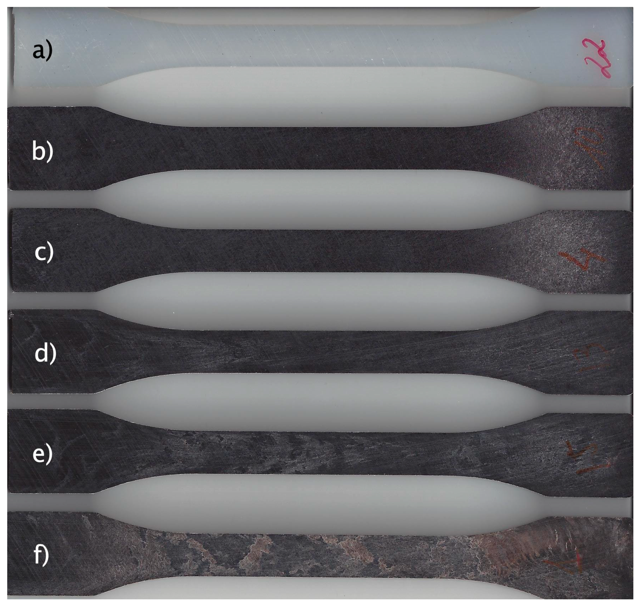 Polymers 16 02061 g010