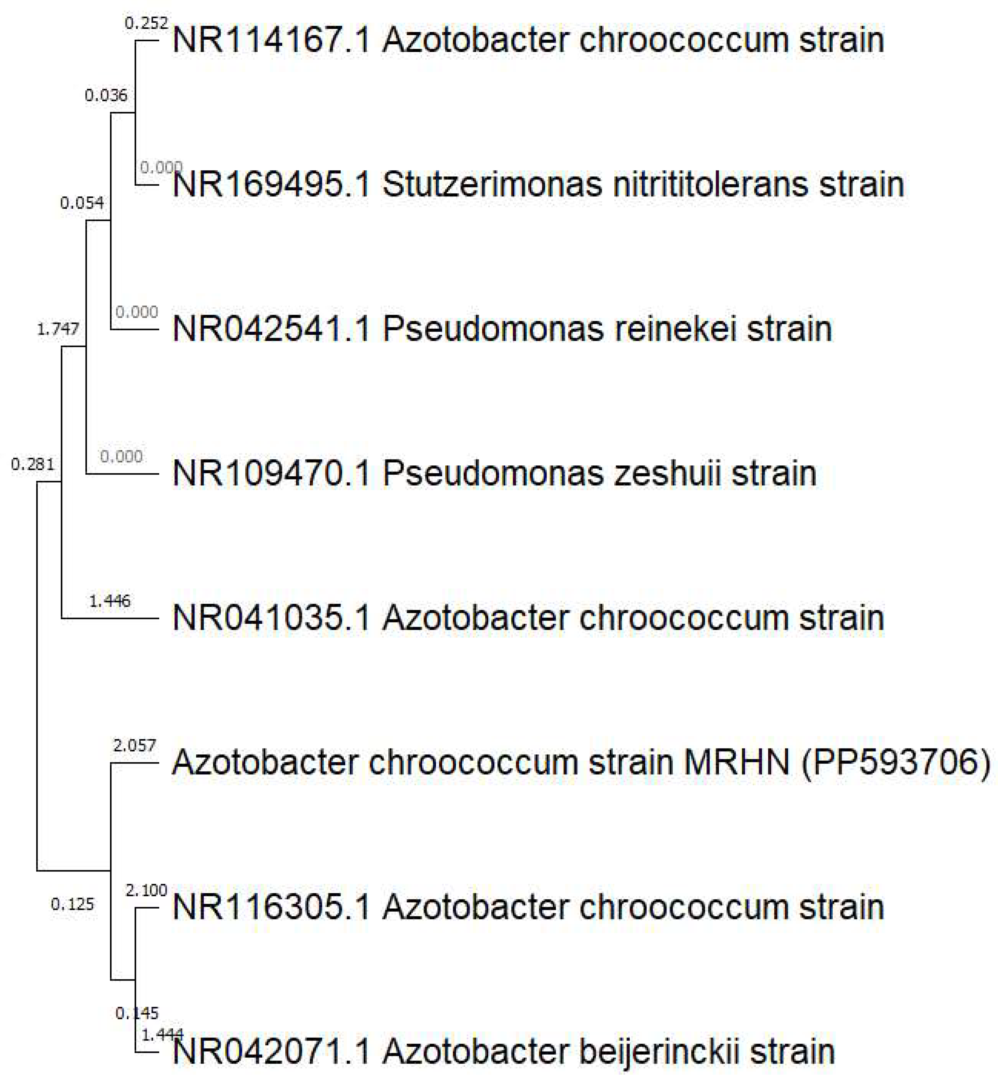 Polymers 16 02065 g001 Polymers 16 02065 g001