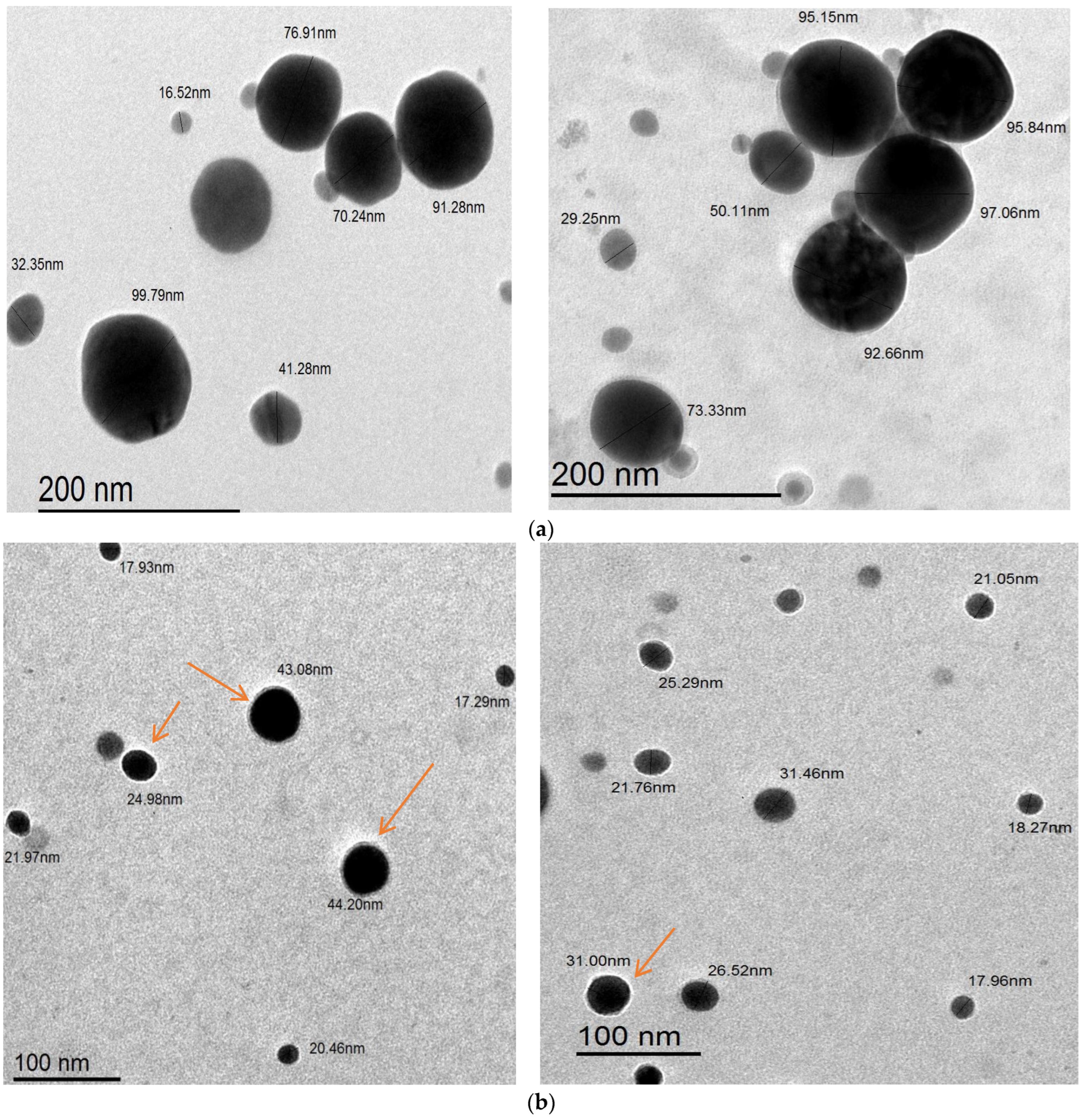 Polymers 16 02065 g009 Polymers 16 02065 g009