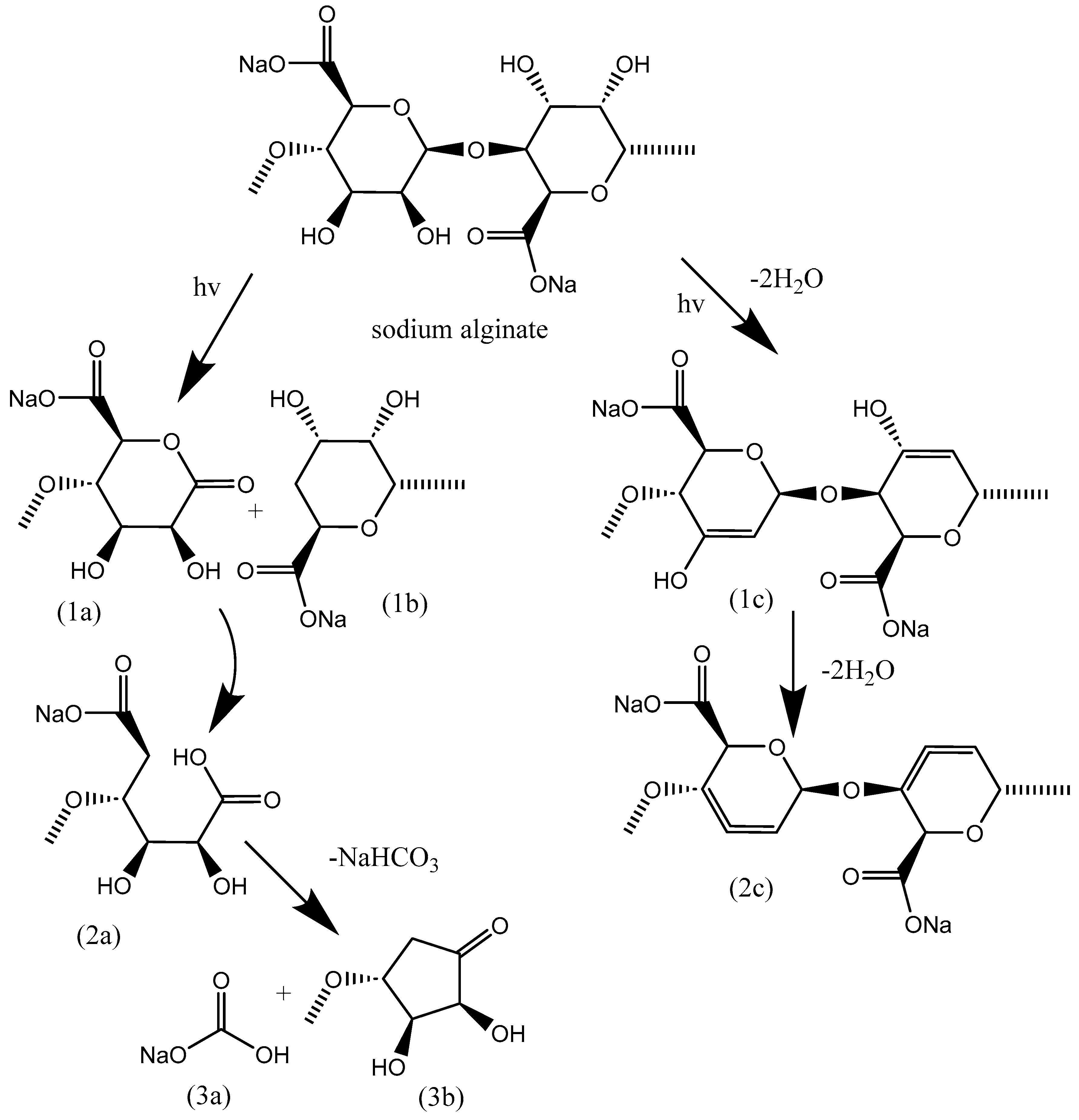Polymers 16 02072 g011