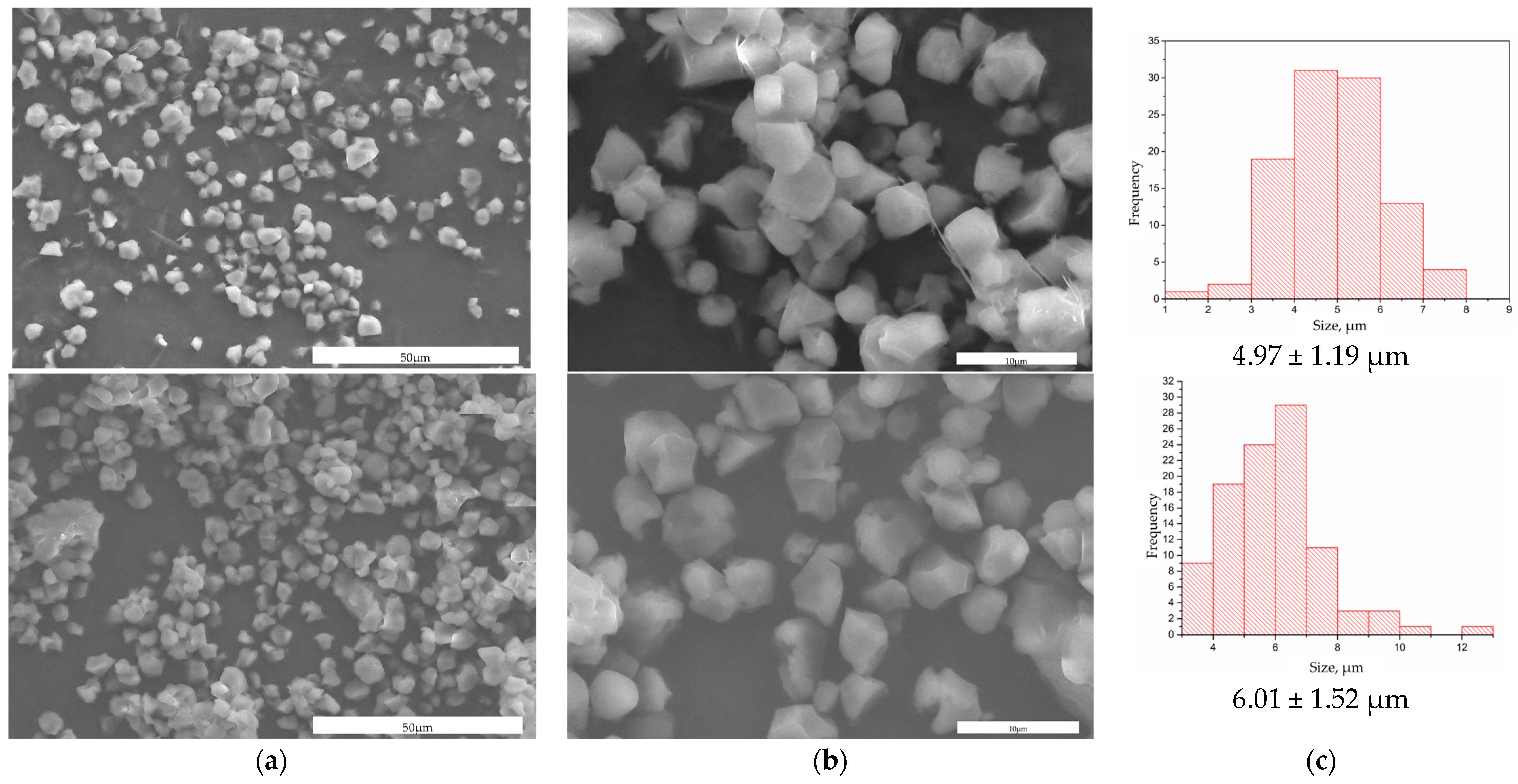 Polymers 16 02075 g001