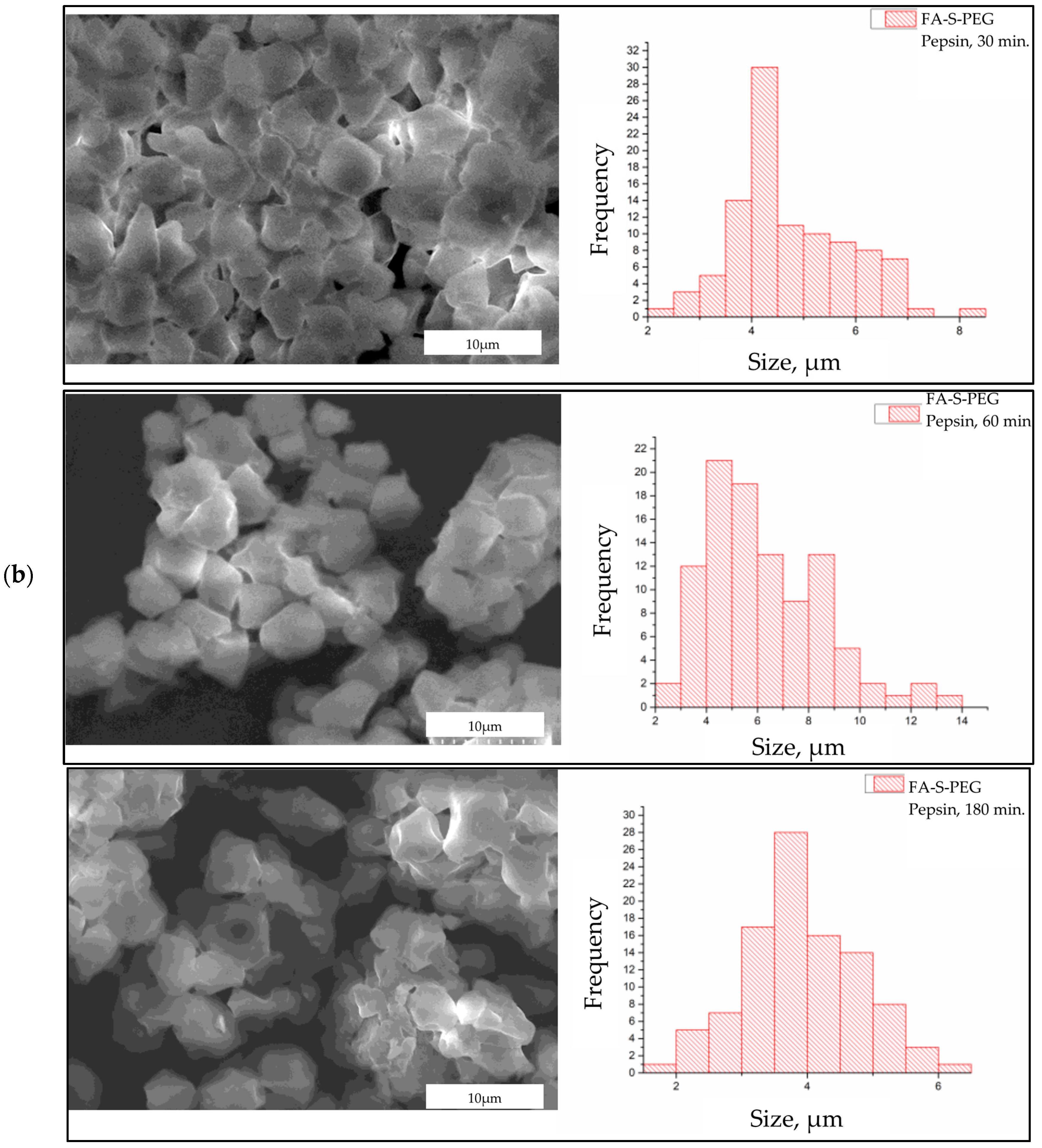 Polymers 16 02075 g004b