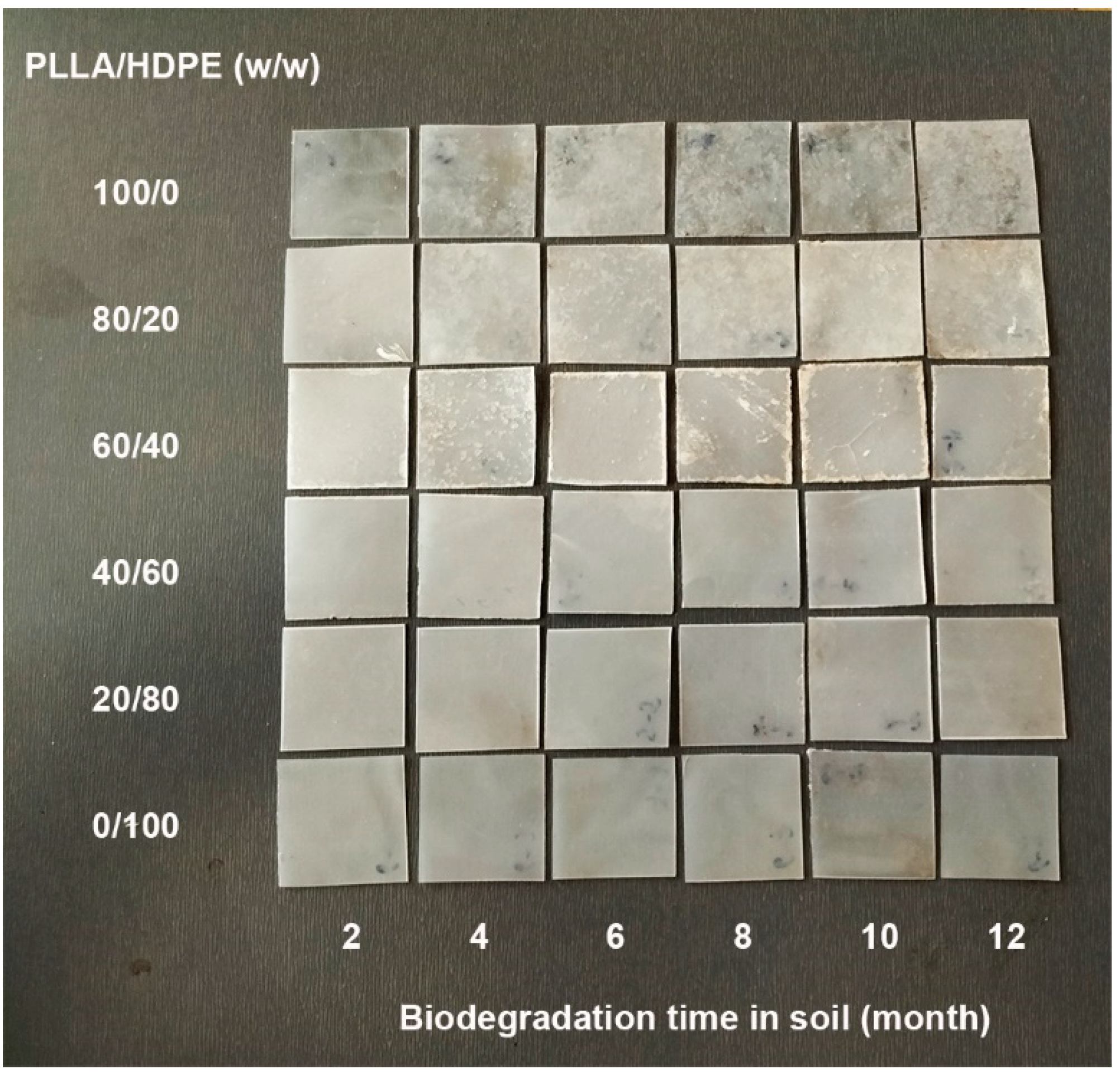 Polymers 16 02078 g014