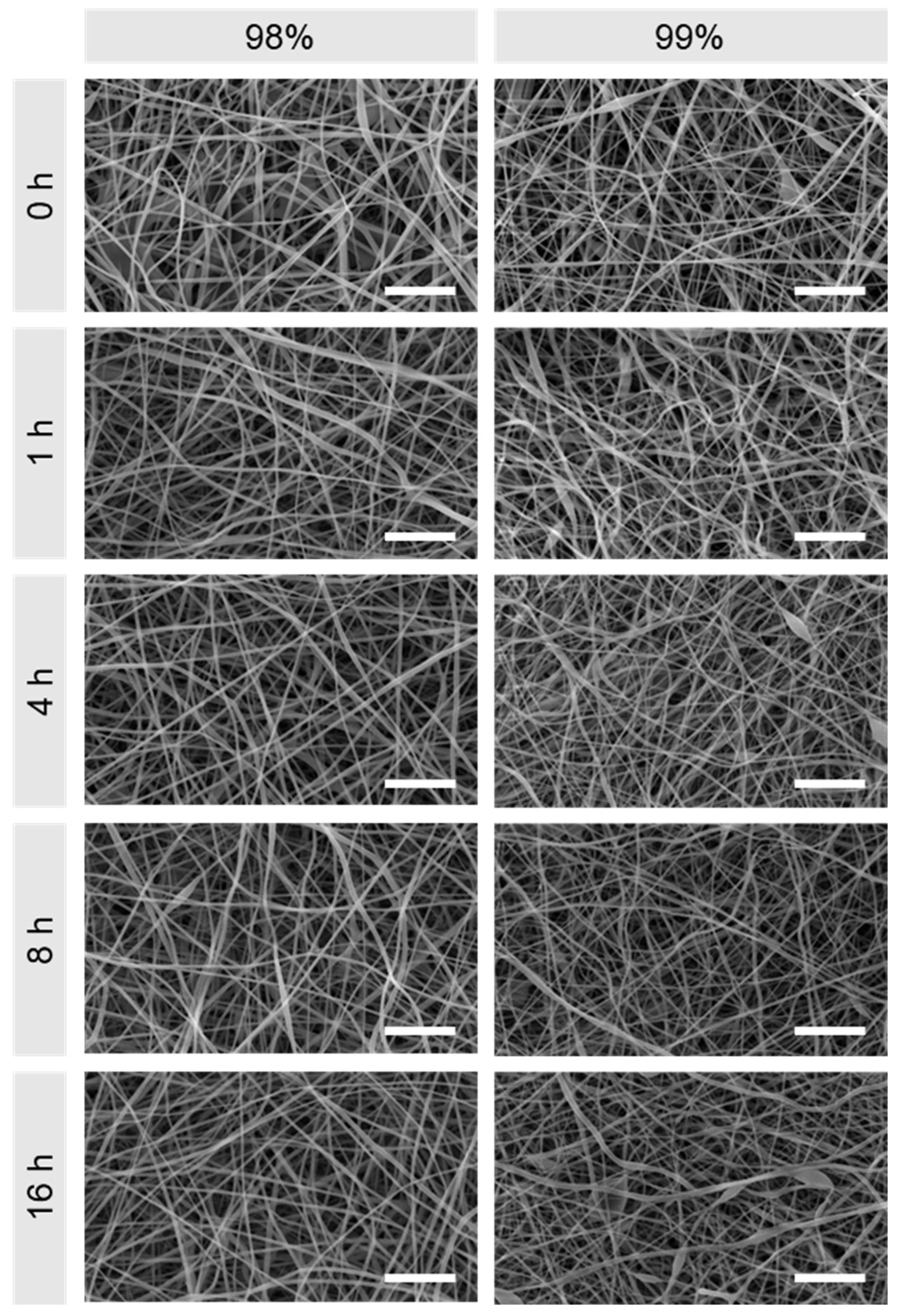 Polymers 16 02079 g002