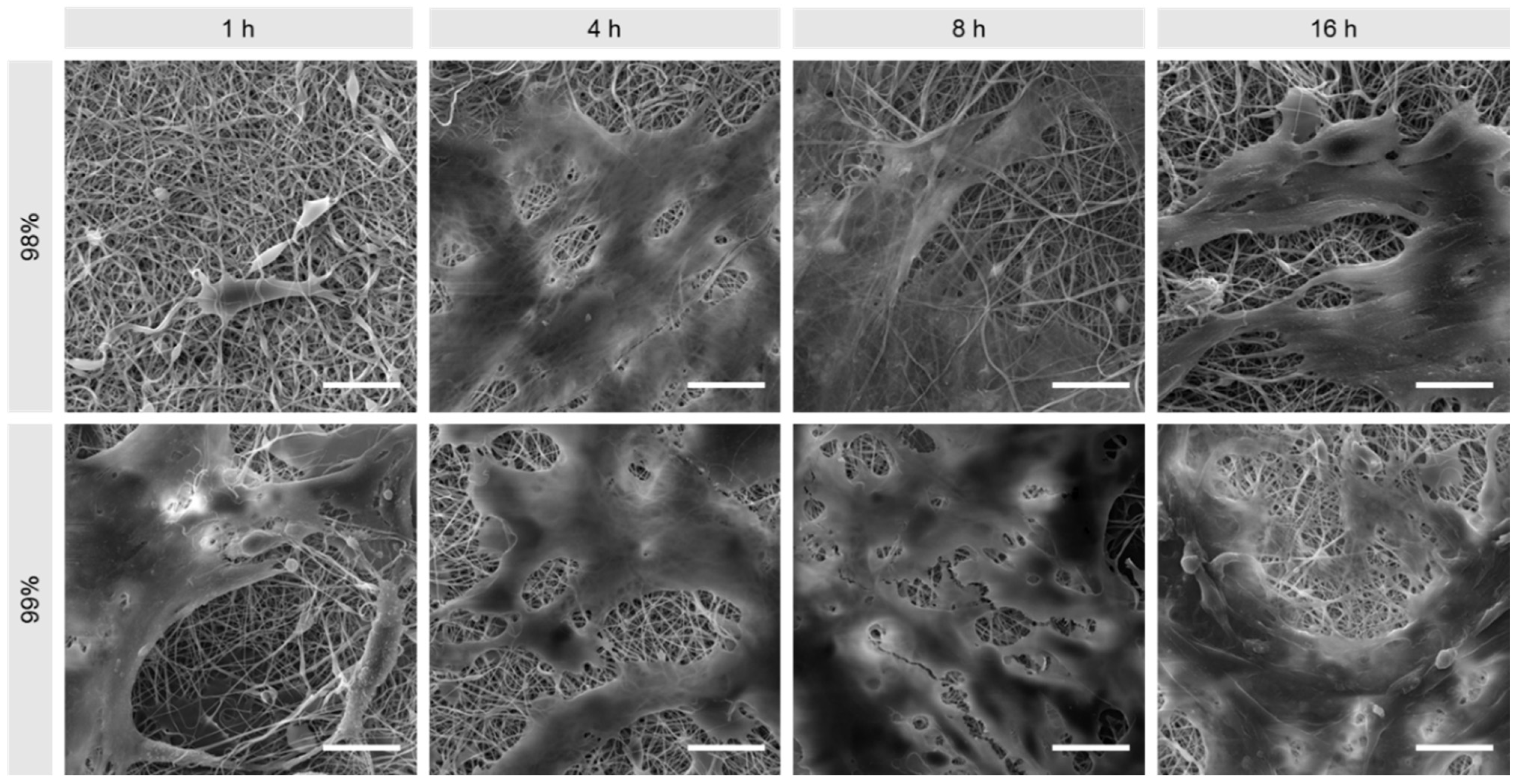 Polymers 16 02079 g009