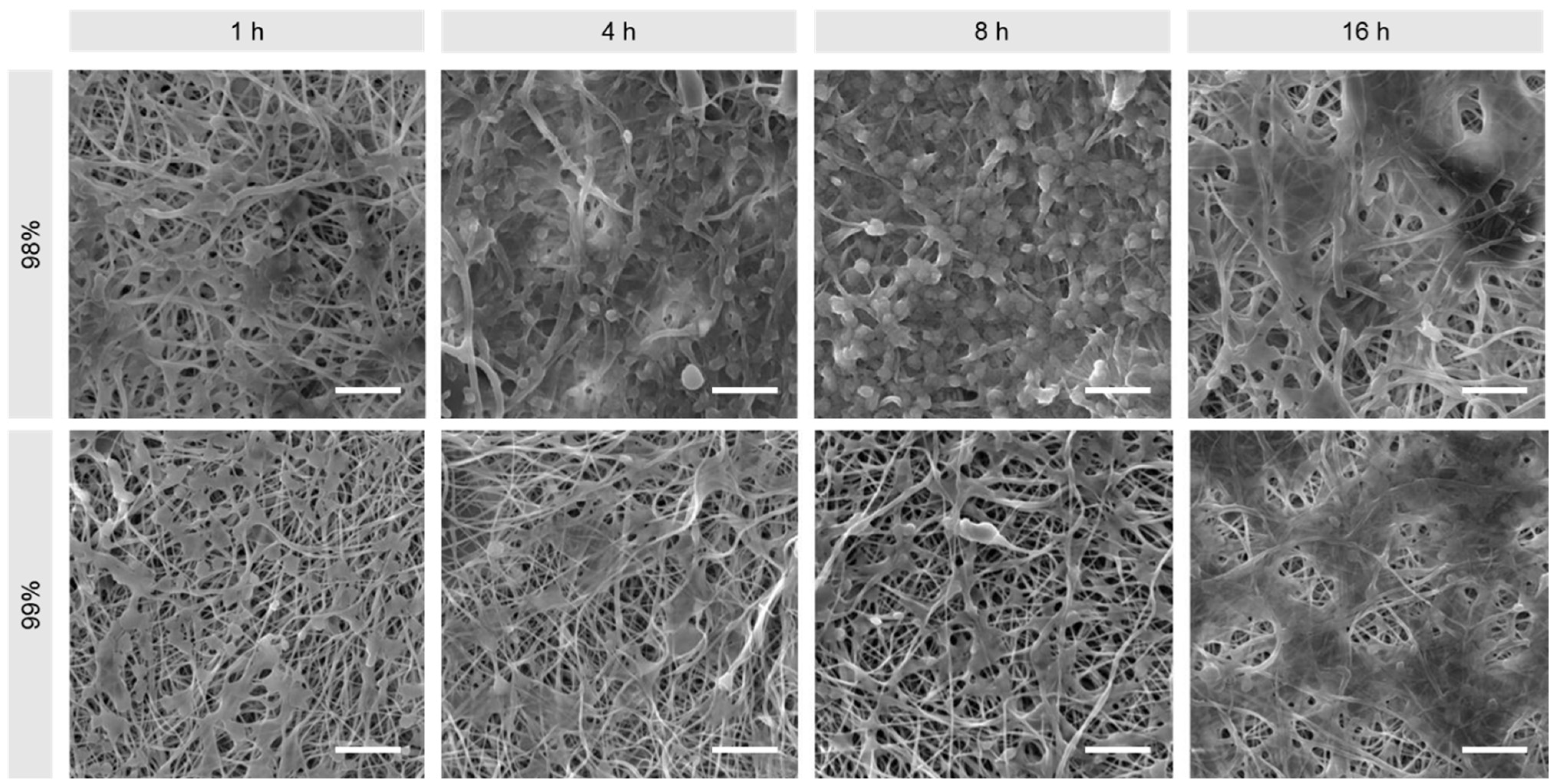 Polymers 16 02079 g011