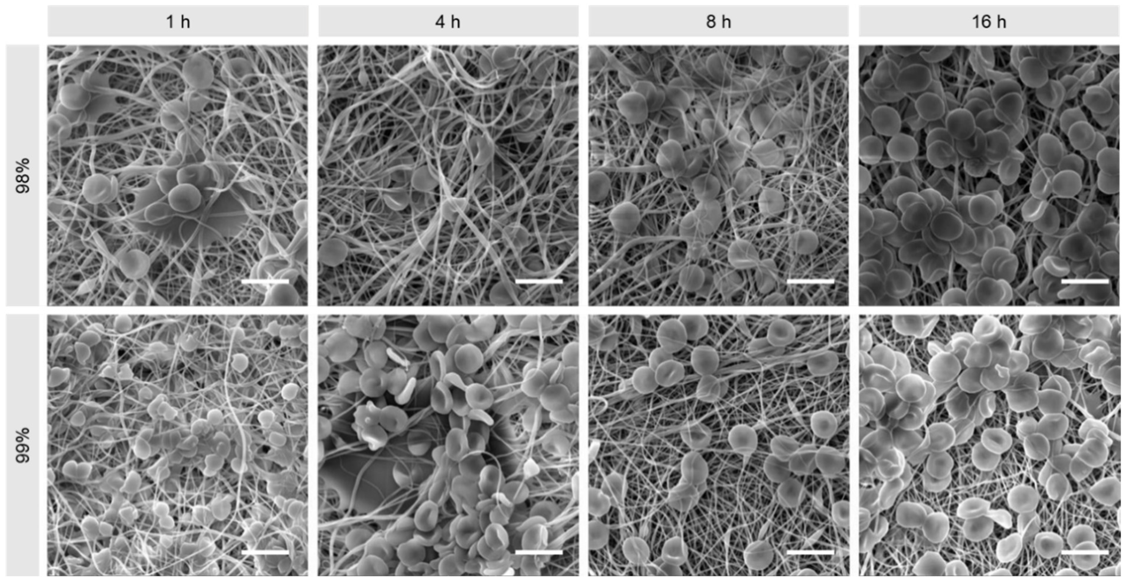 Polymers 16 02079 g014