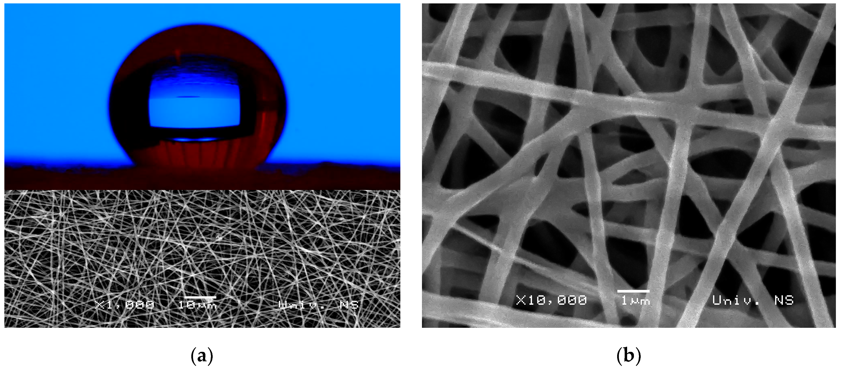 Polymers 16 02094 g004