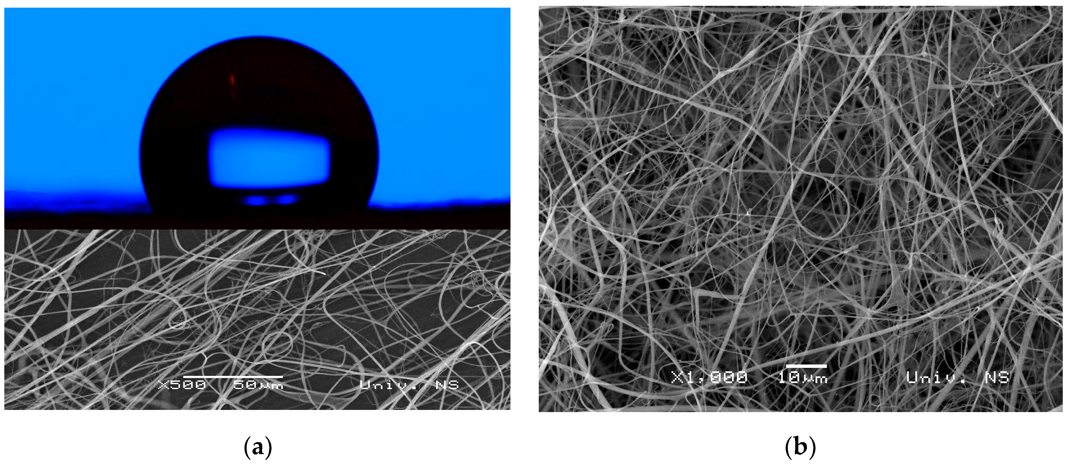 Polymers 16 02094 g005