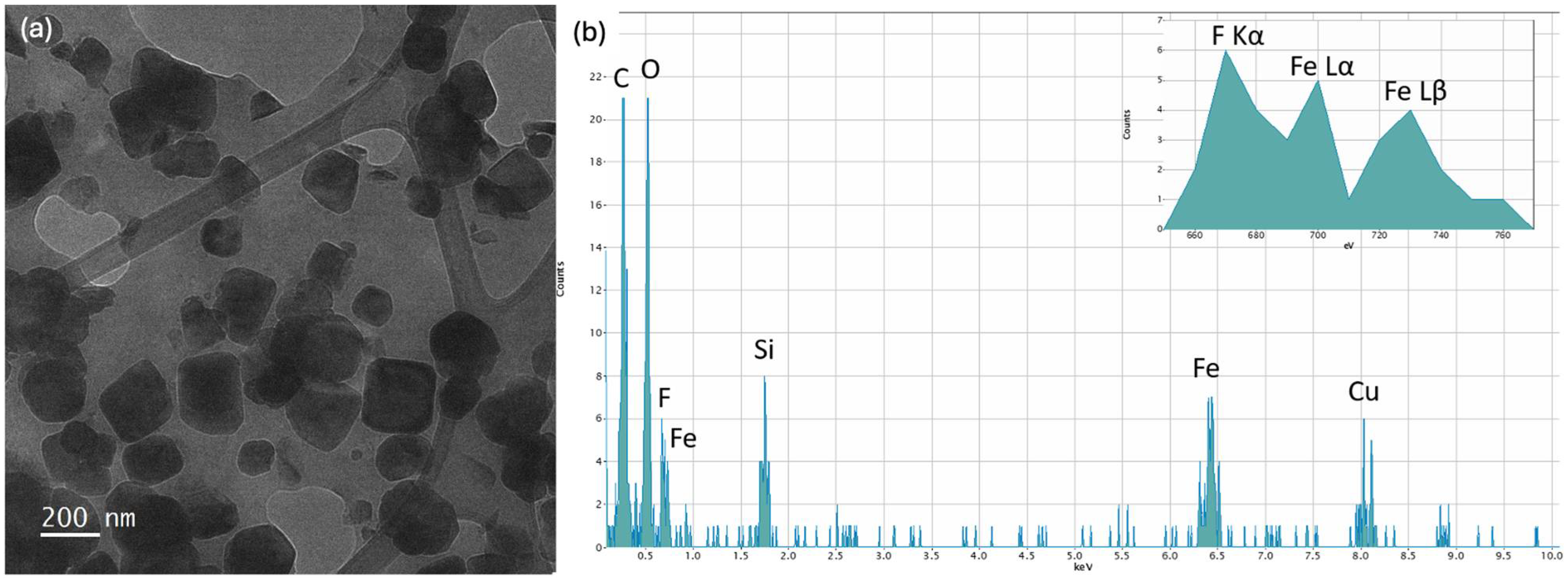 Polymers 16 02096 g004