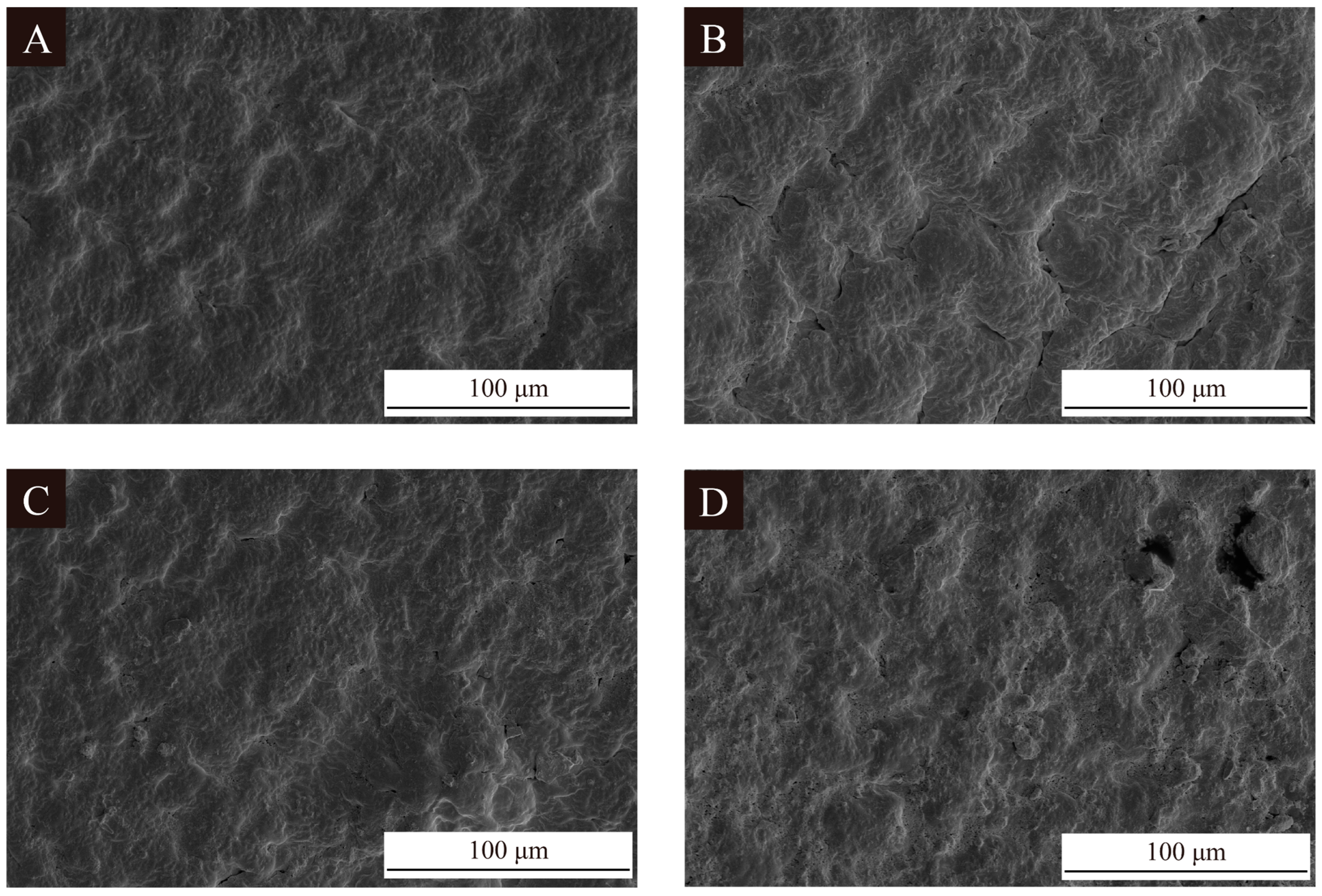 Polymers 16 02098 g006