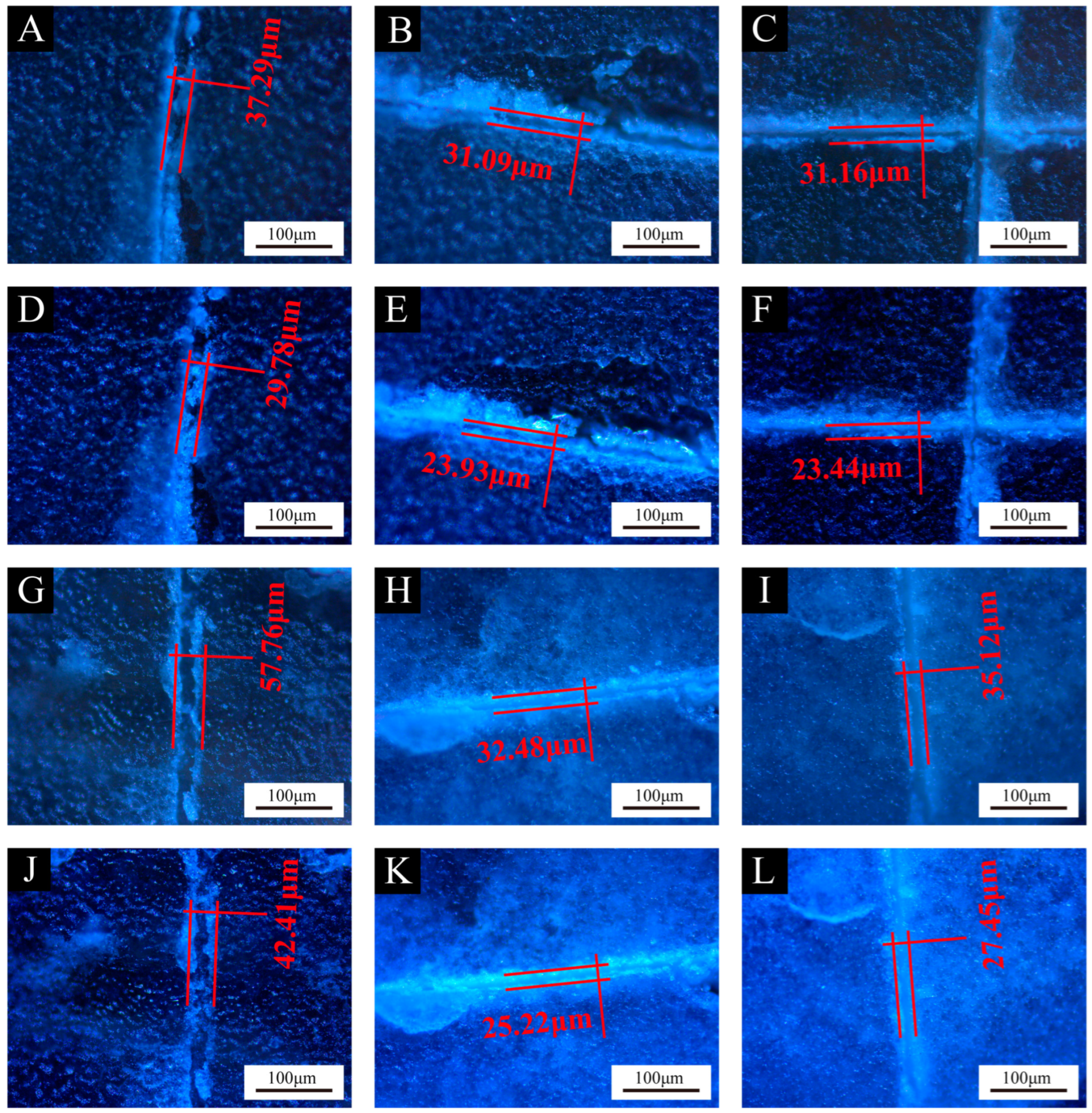 Polymers 16 02098 g014