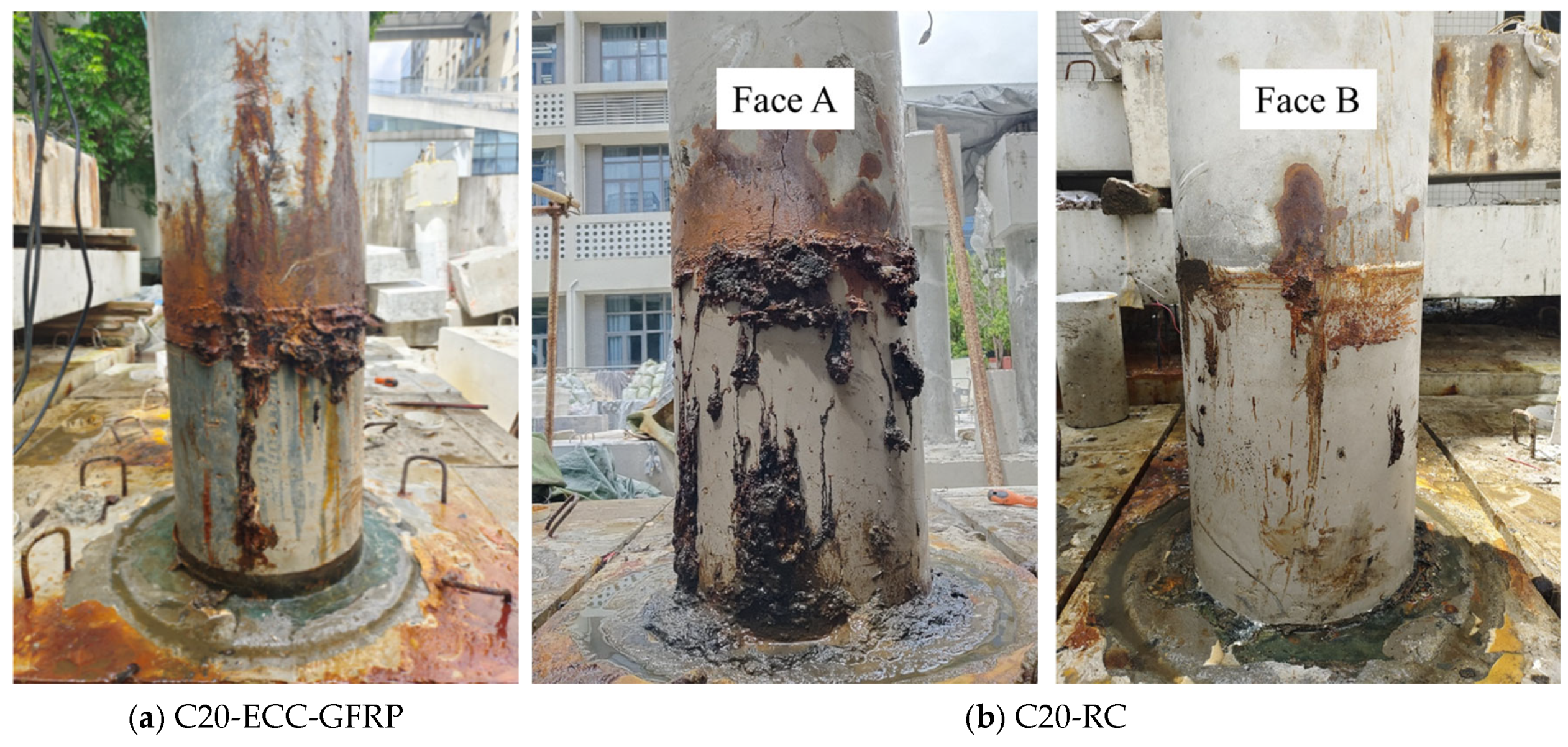 Polymers 16 02110 g008