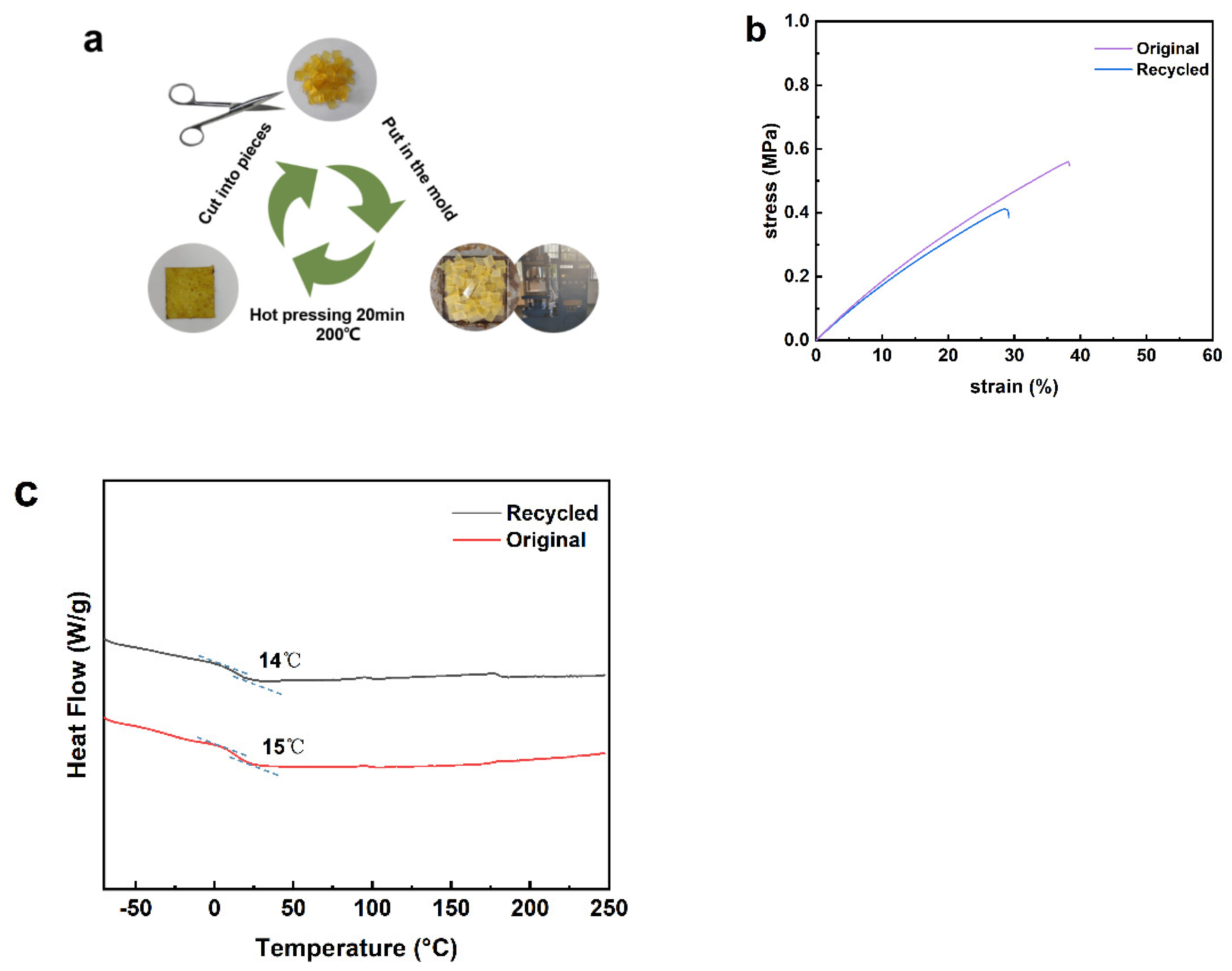 Polymers 16 02113 g005