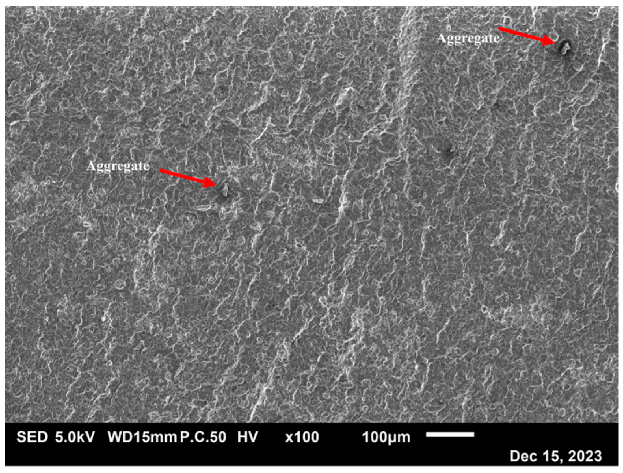 Polymers 16 02117 g006