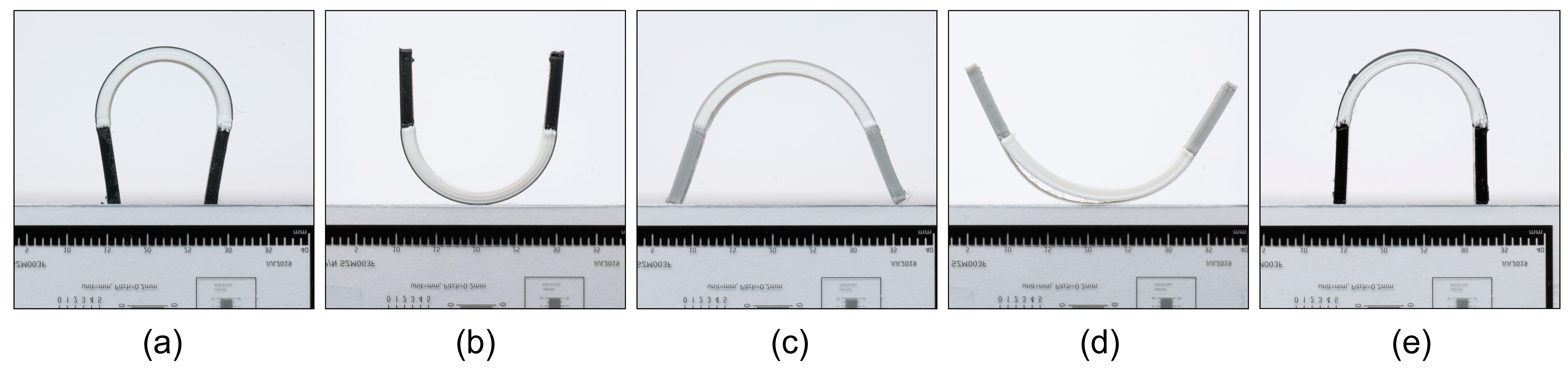 Polymers 16 02138 g009