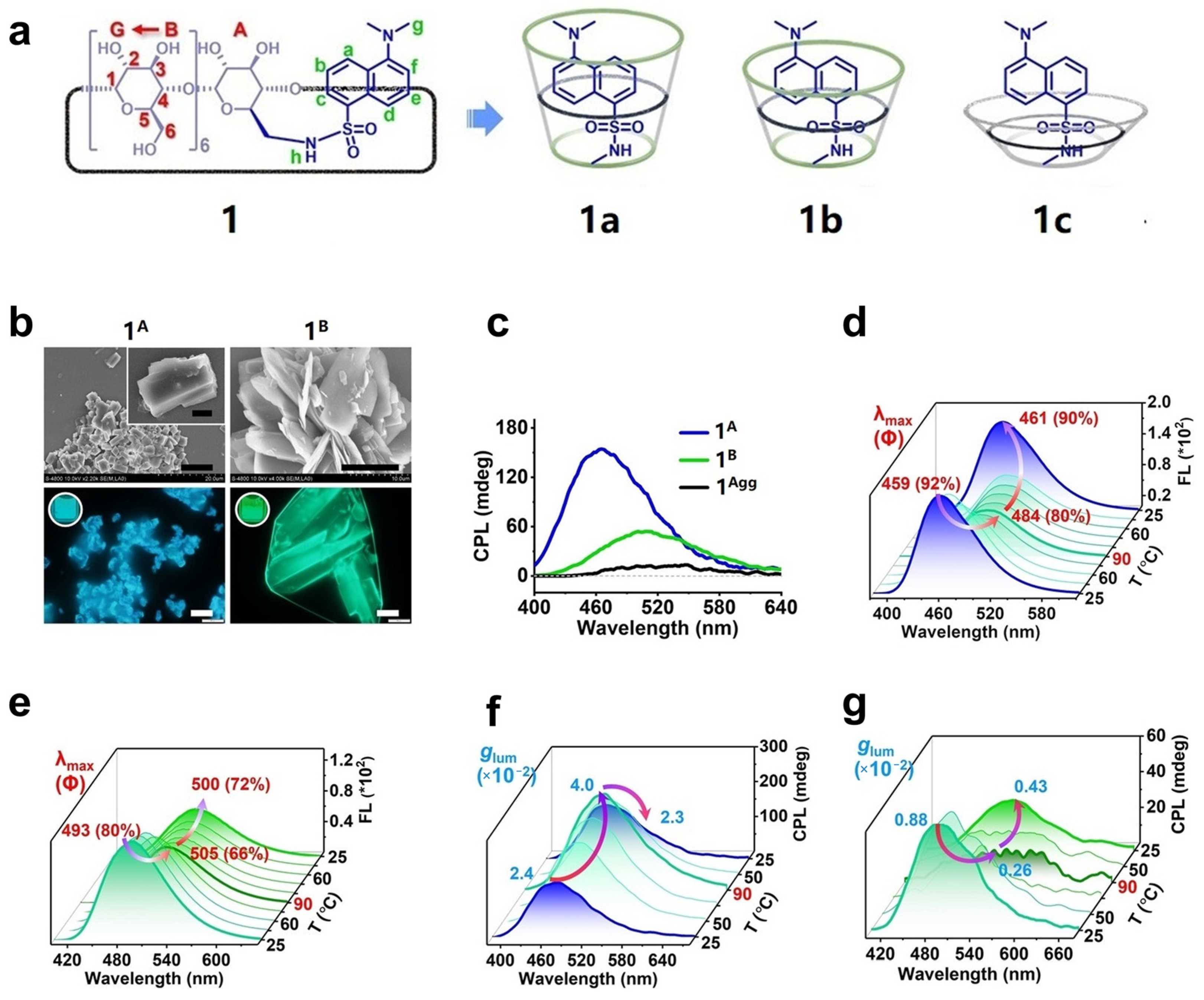 Polymers 16 02140 g002