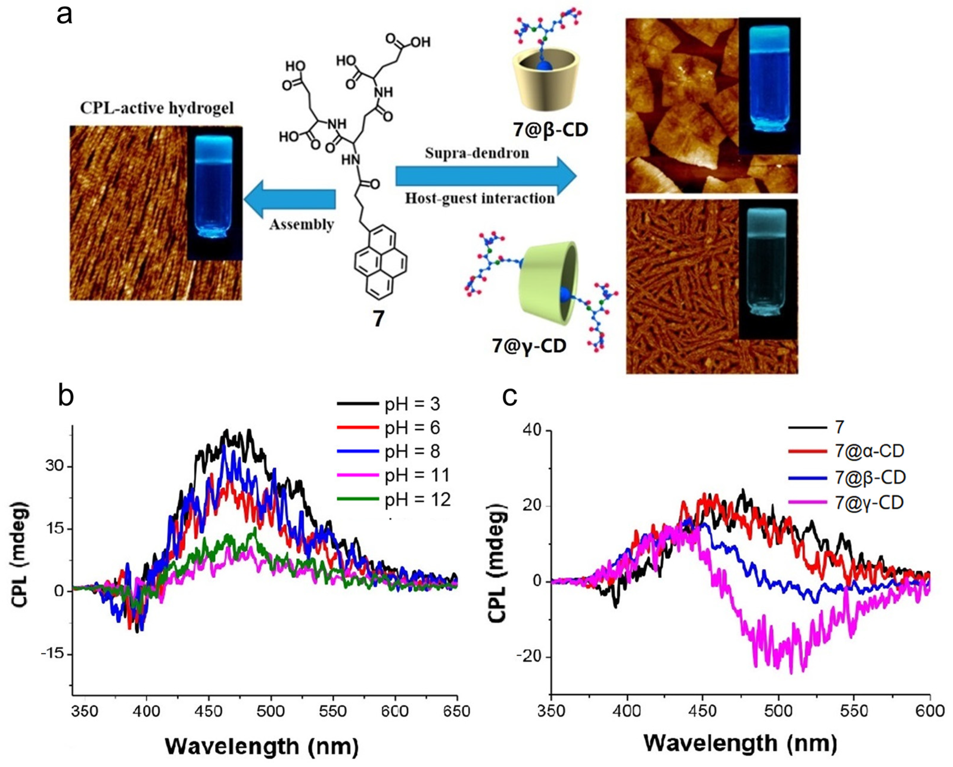 Polymers 16 02140 g005