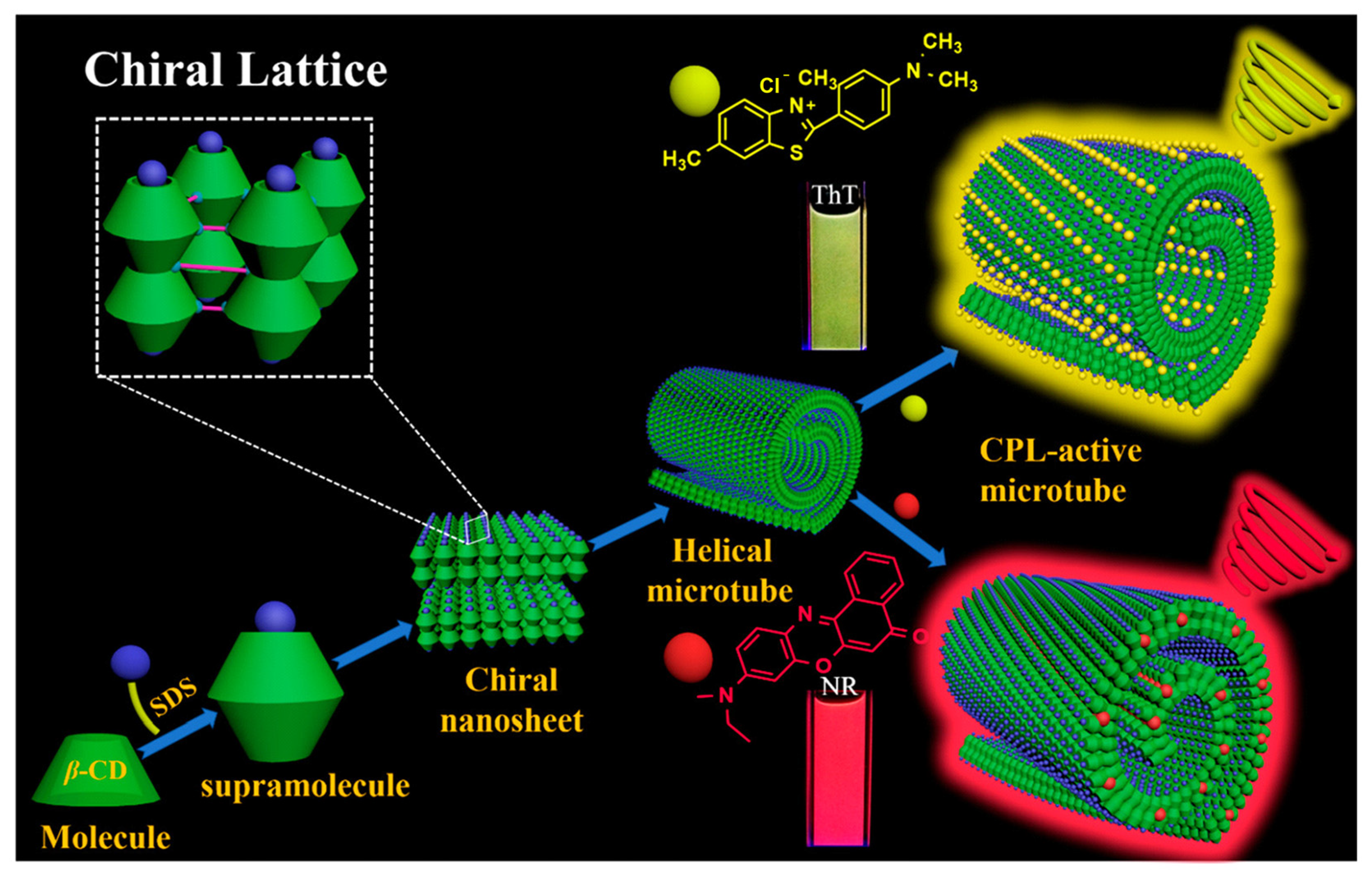 Polymers 16 02140 g006