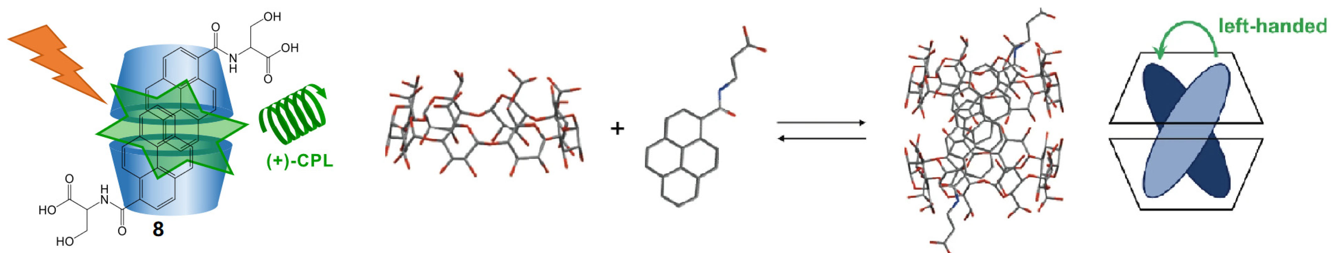 Polymers 16 02140 g008
