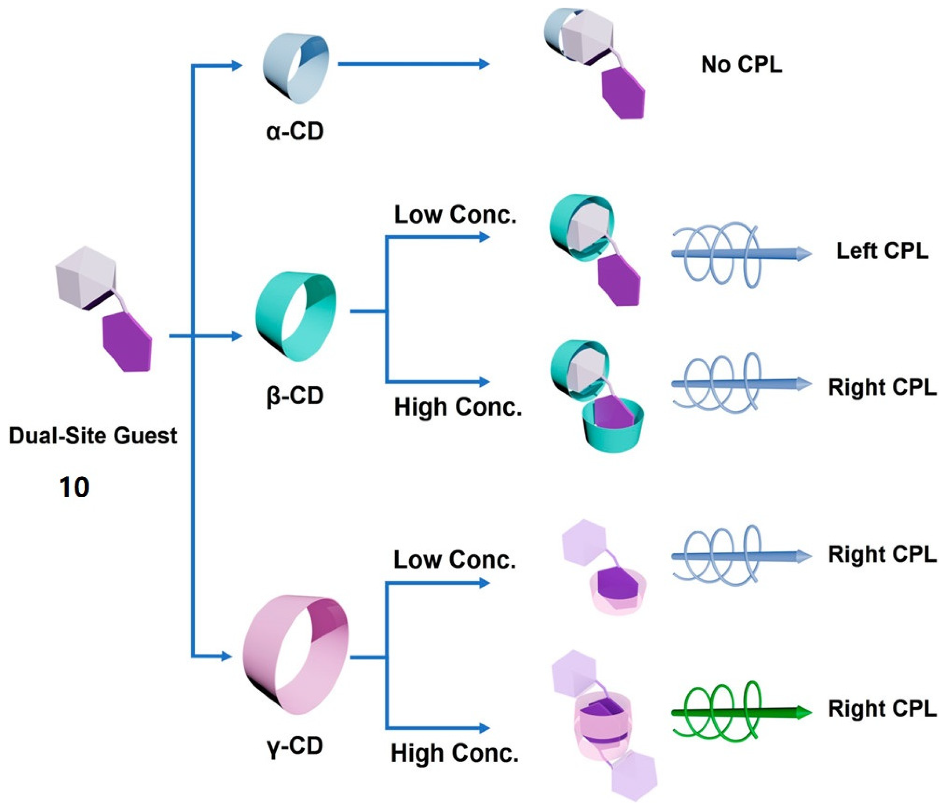 Polymers 16 02140 g010