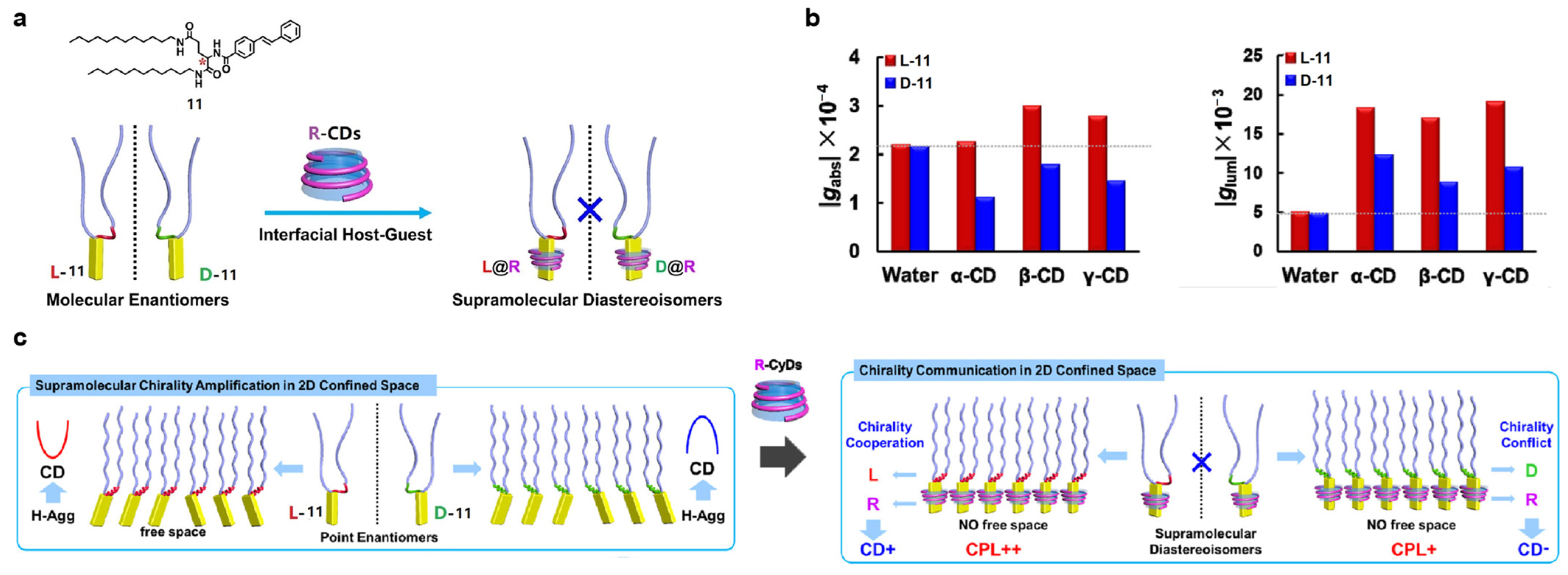 Polymers 16 02140 g011