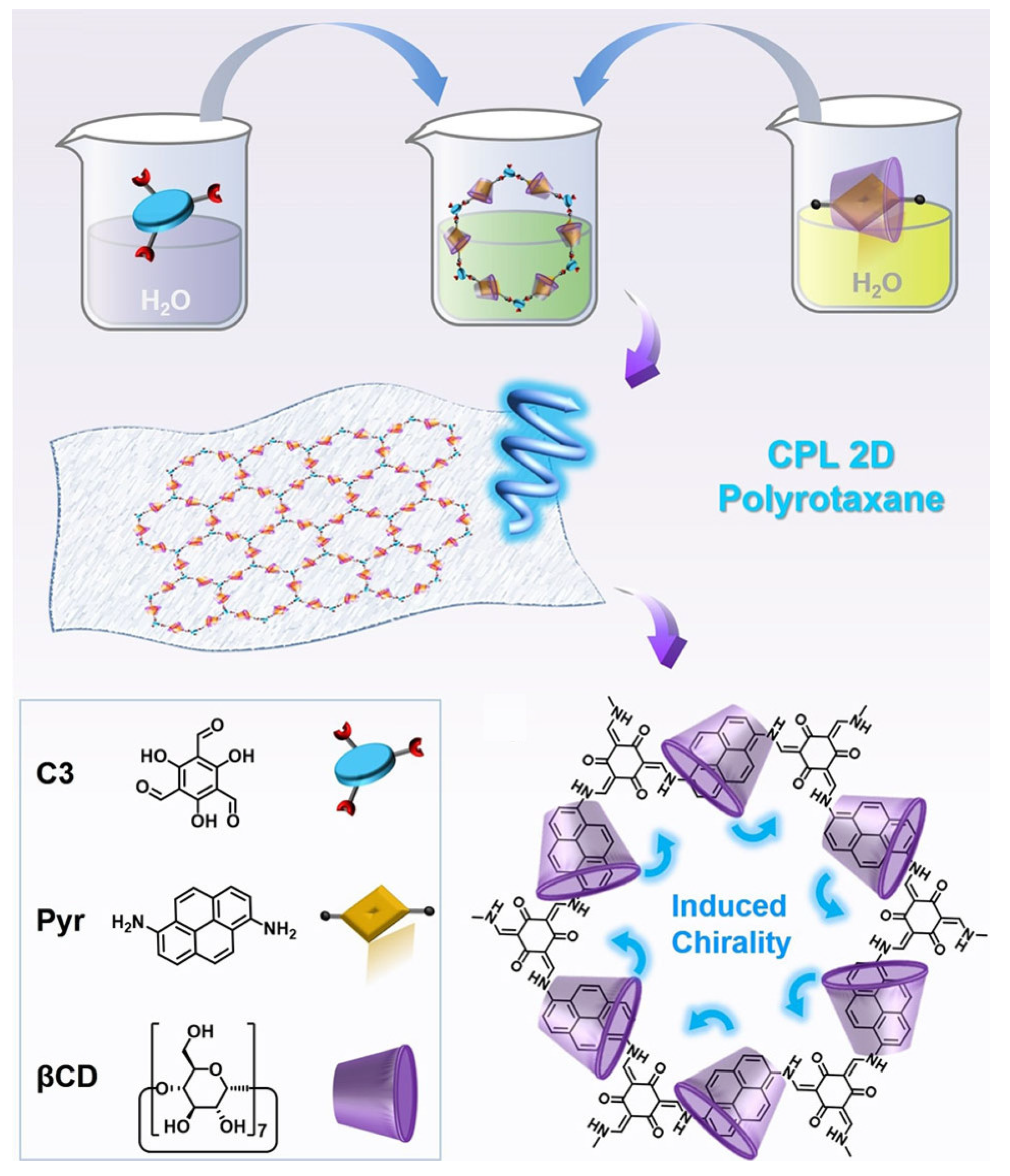 Polymers 16 02140 g017