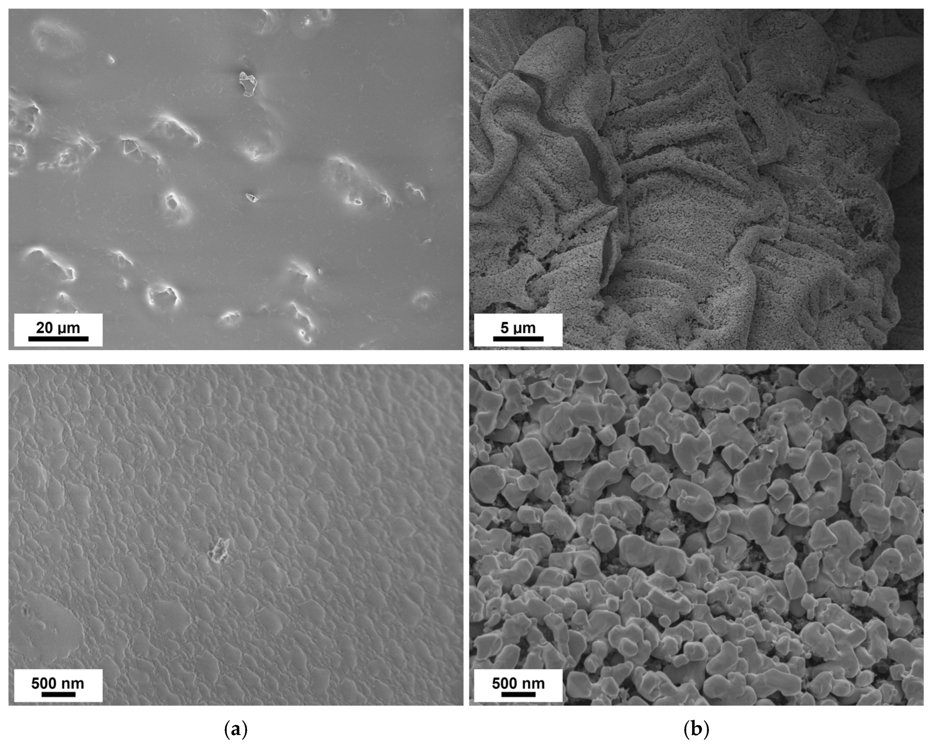 Polymers 16 02142 g008