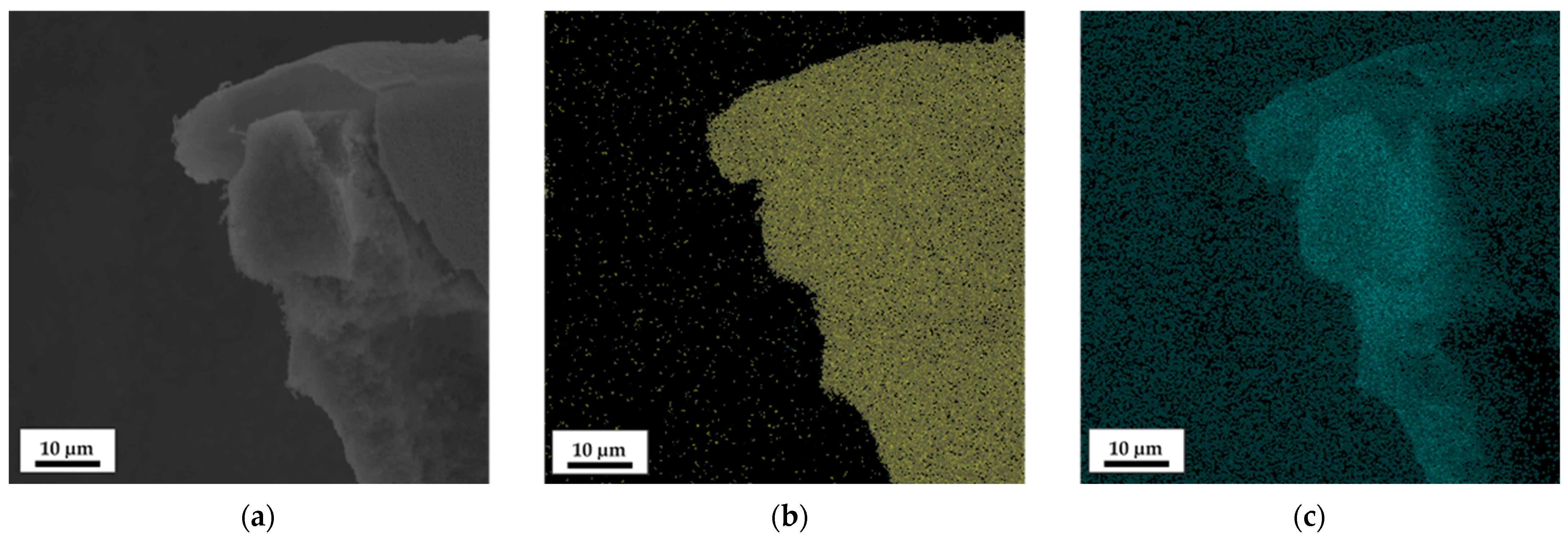 Polymers 16 02142 g009