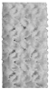 Polymers 16 02145 i009