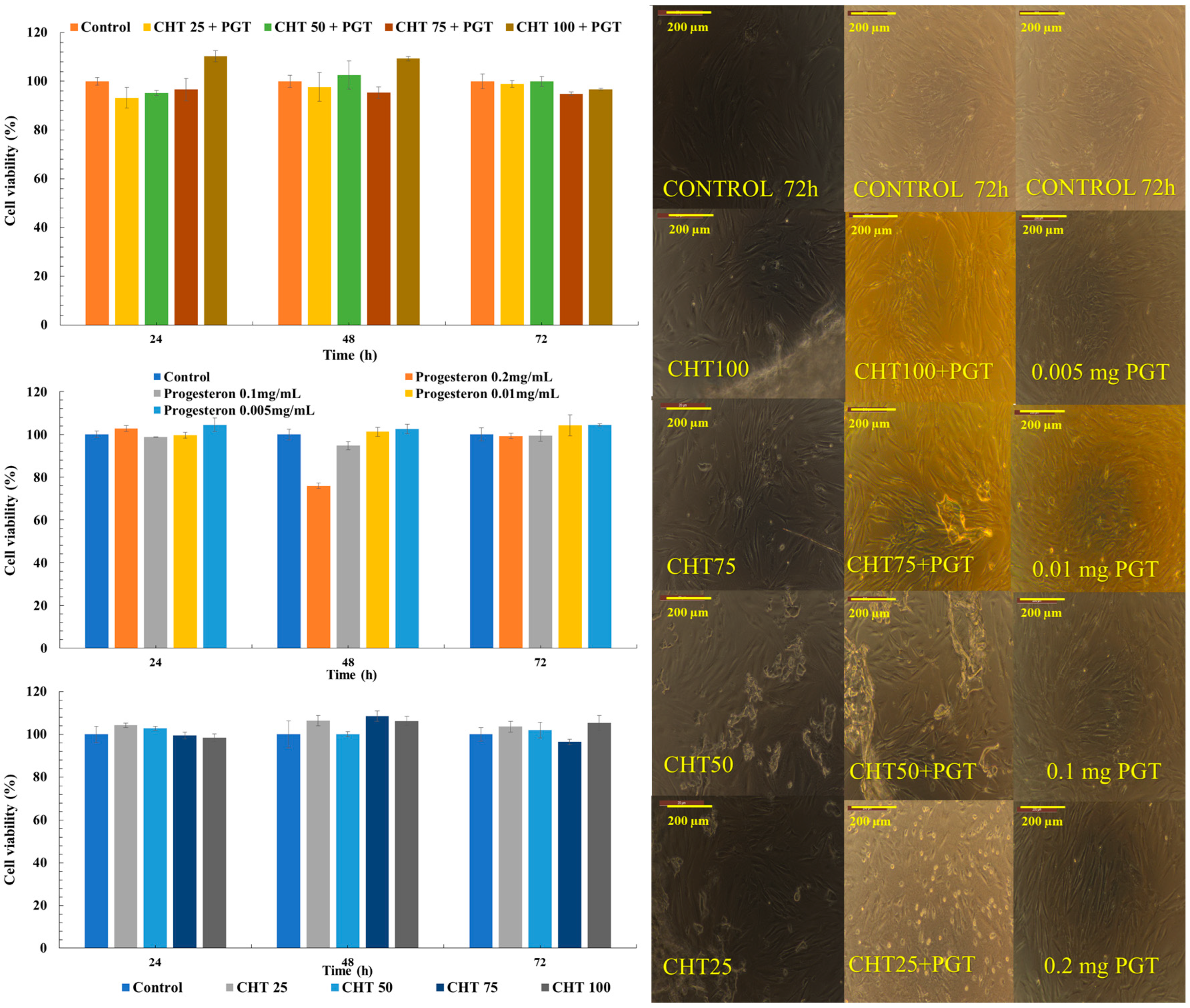 Polymers 16 02160 g008