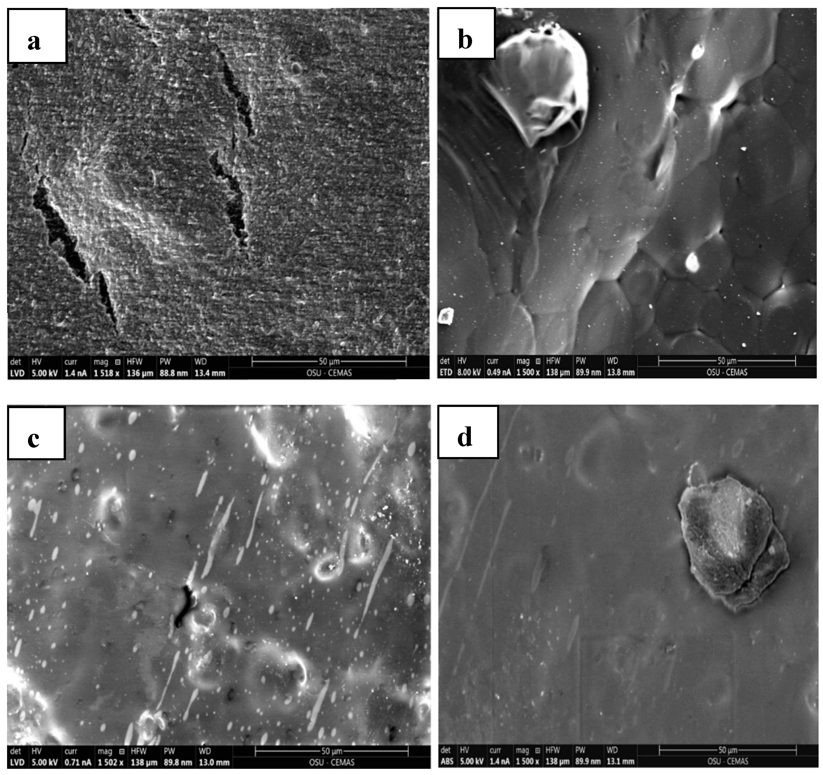 Polymers 16 02164 g011
