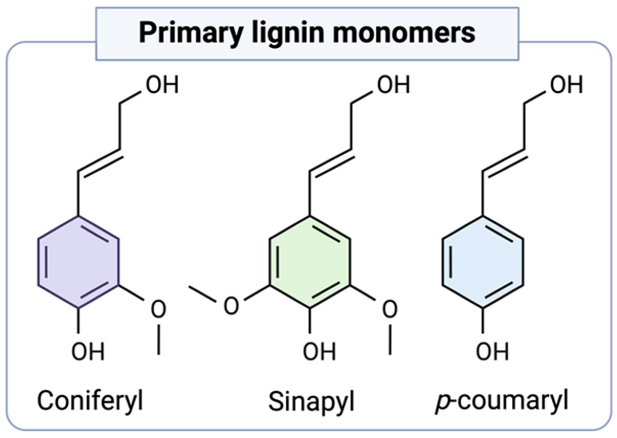 Polymers 16 02181 g001
