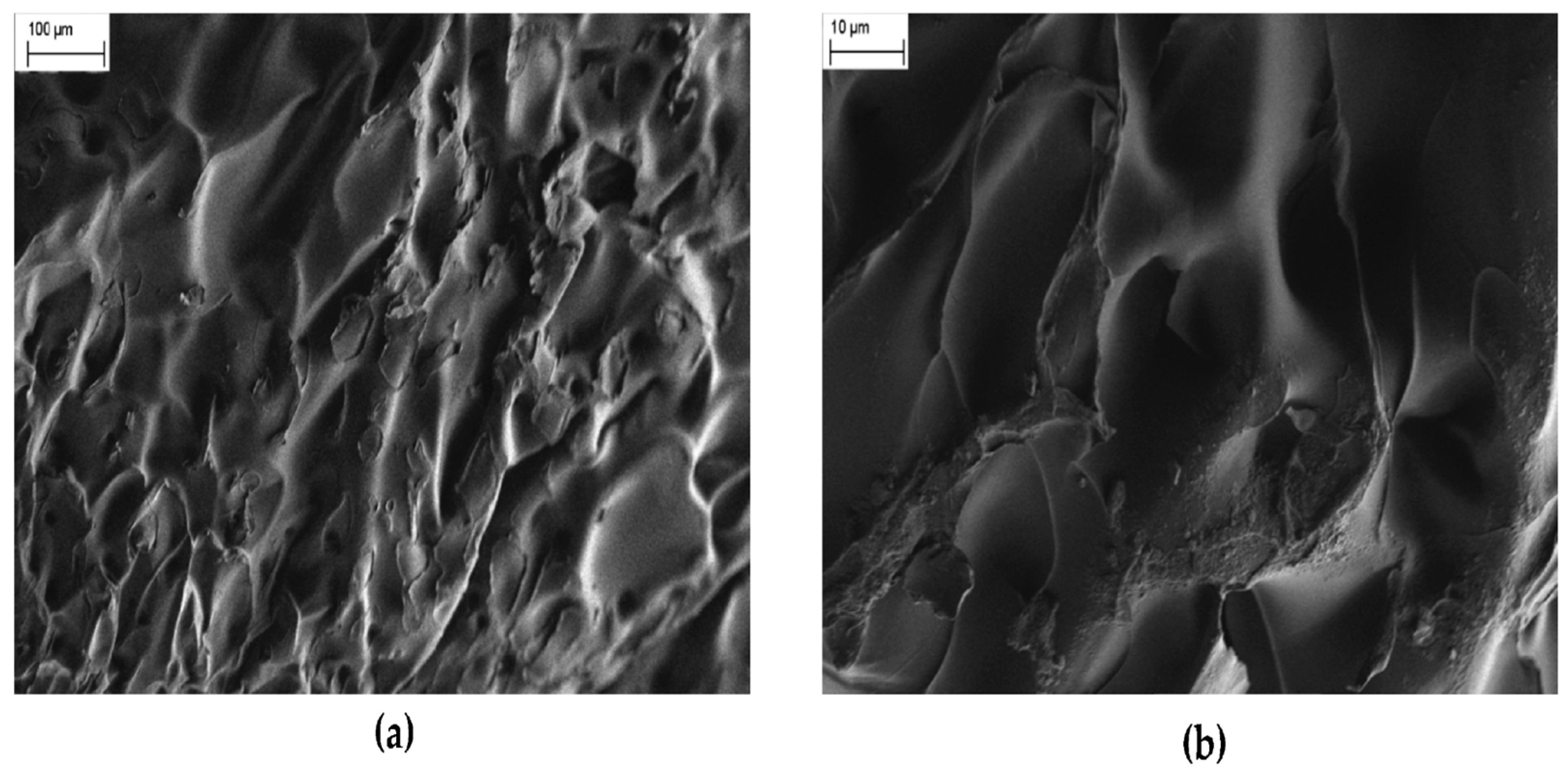 Polymers 16 02205 g002