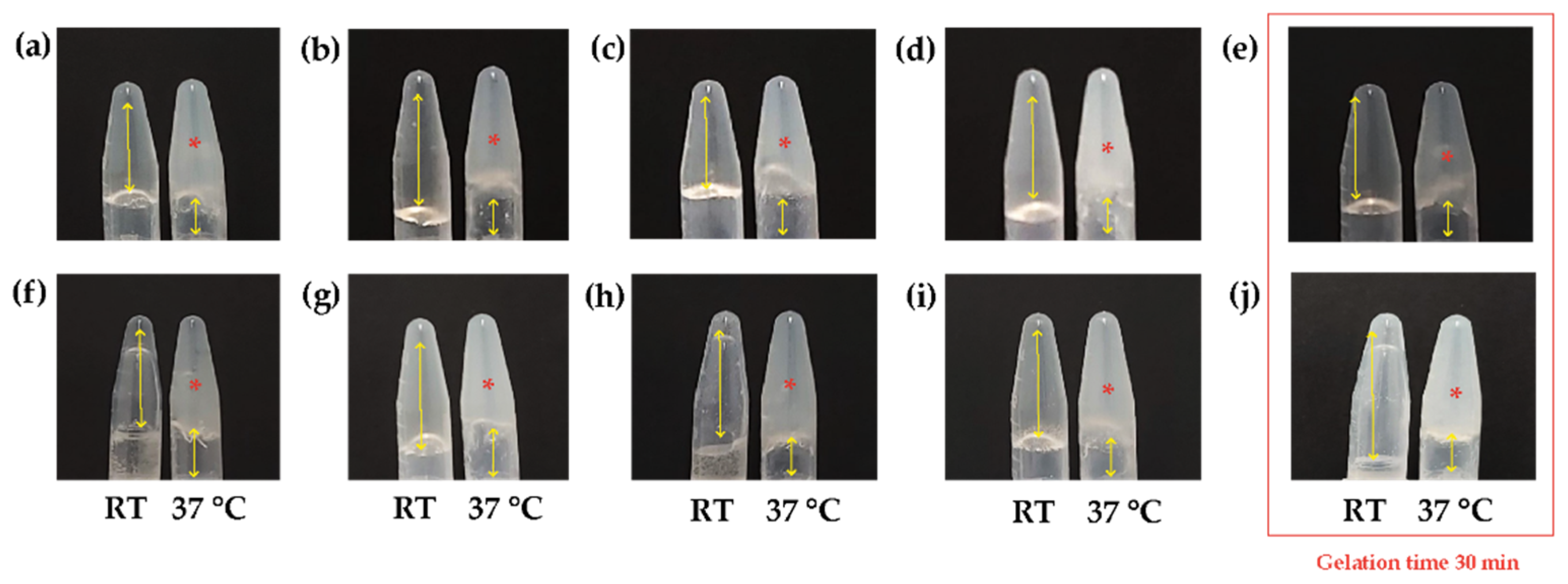 Polymers 16 02206 g003